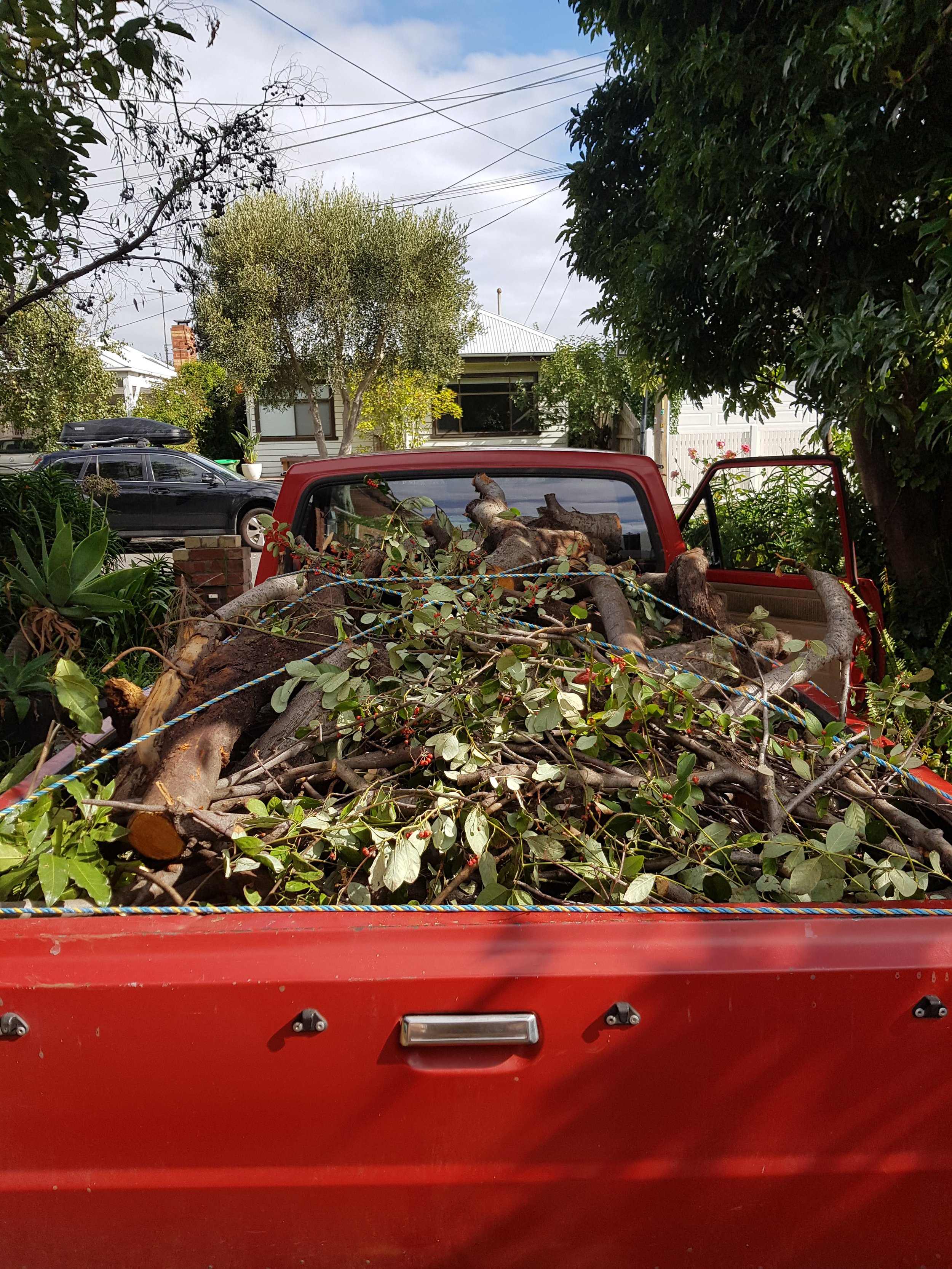 green waste removal