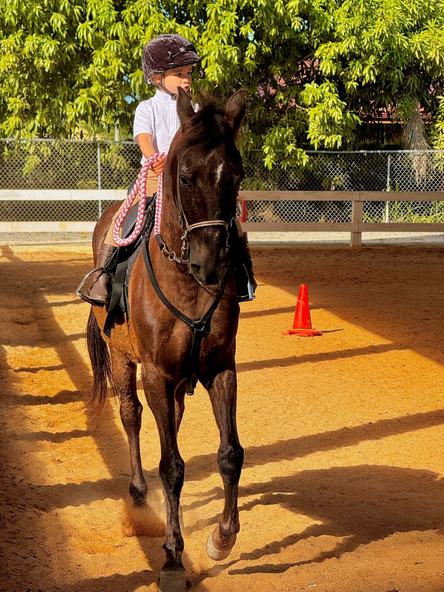 Horse Riding for Adults