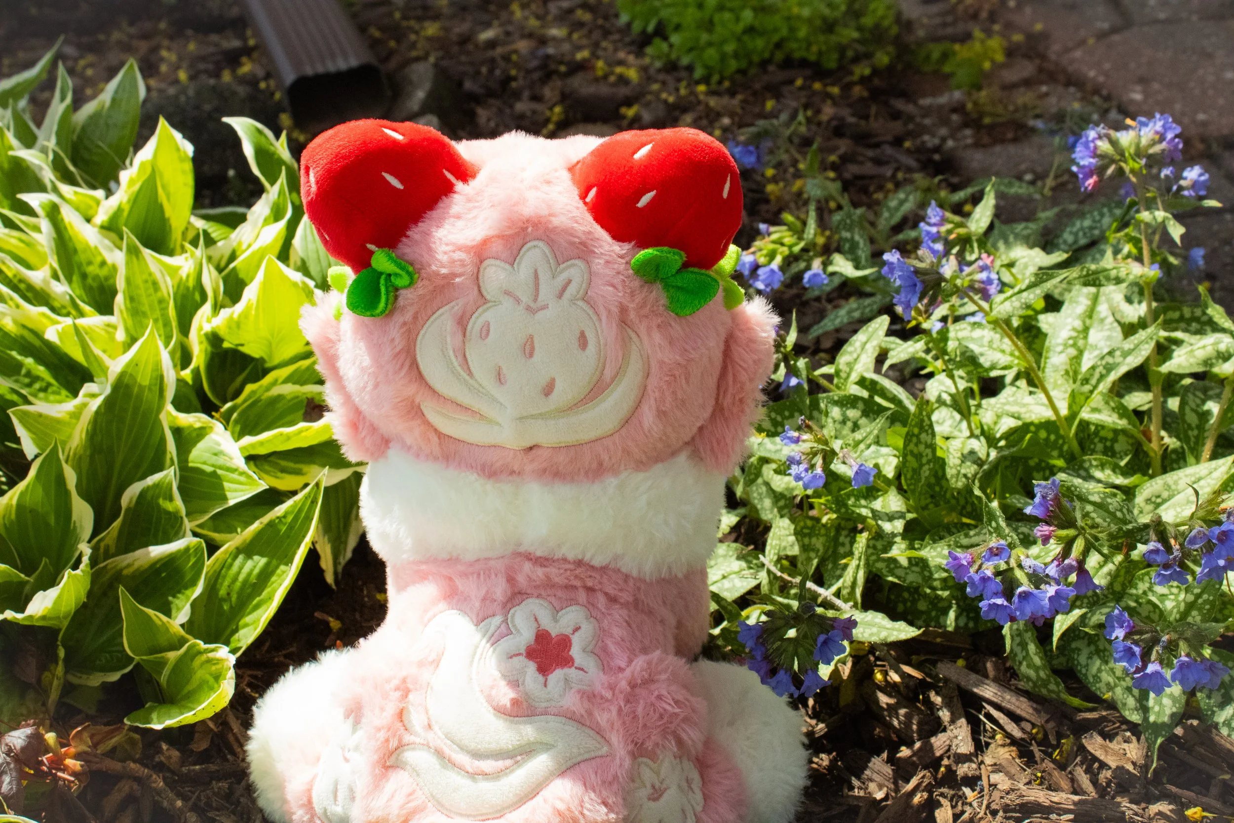 GardenEdits-9.jpg