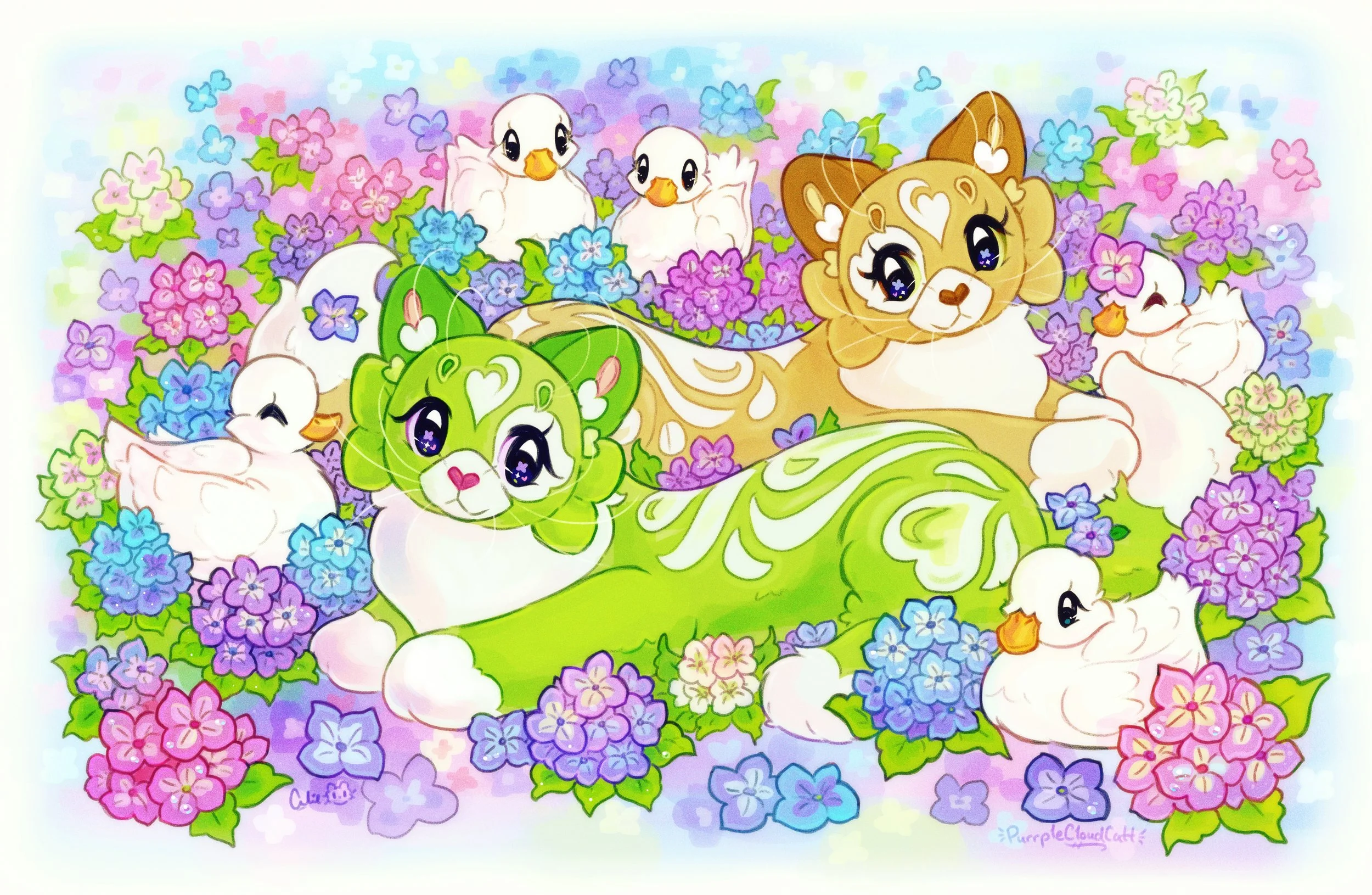 summerlattecats.jpg