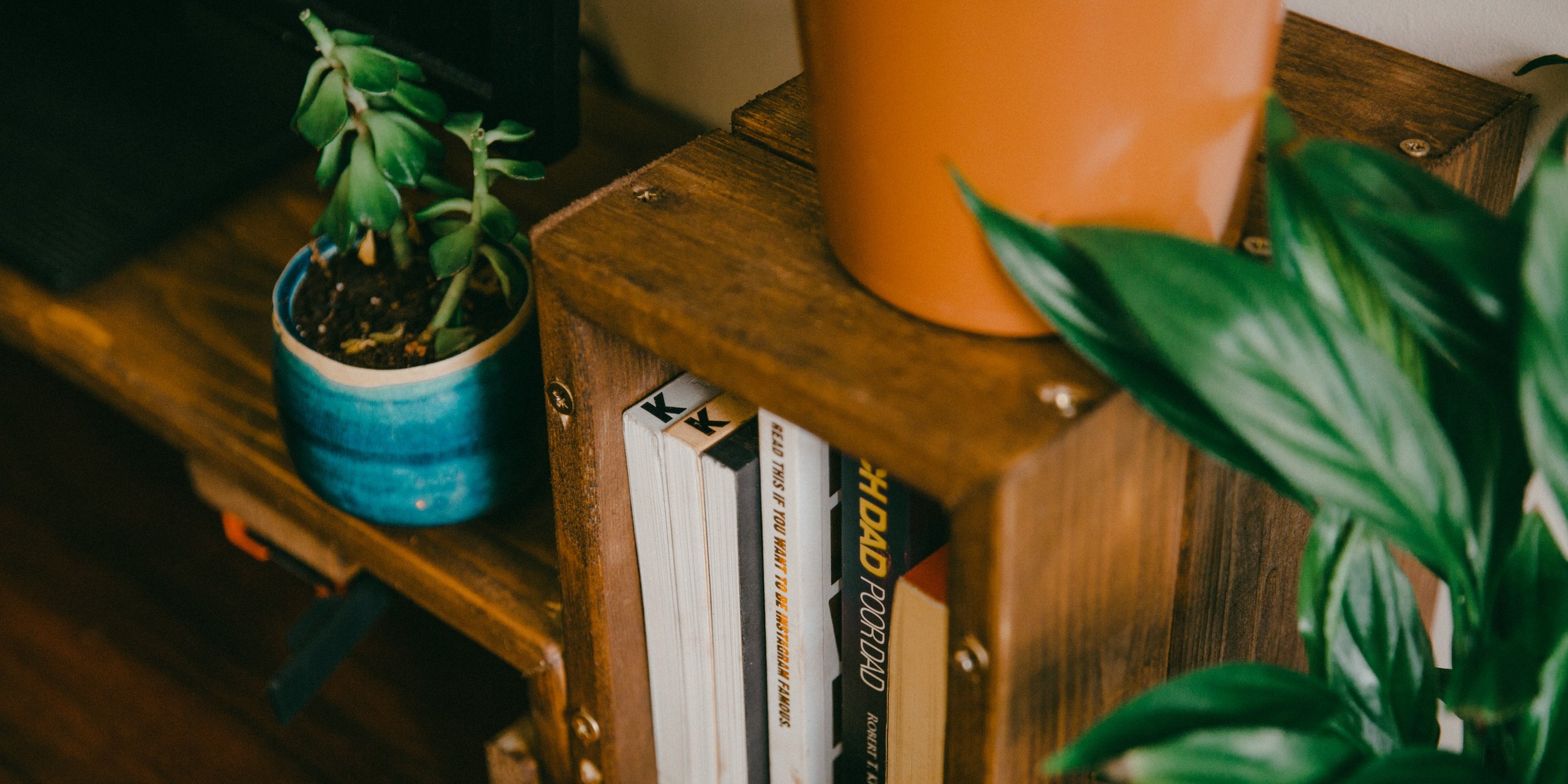 Styled wooden bookshelf with plants and books in a thoughtfully organized home space.