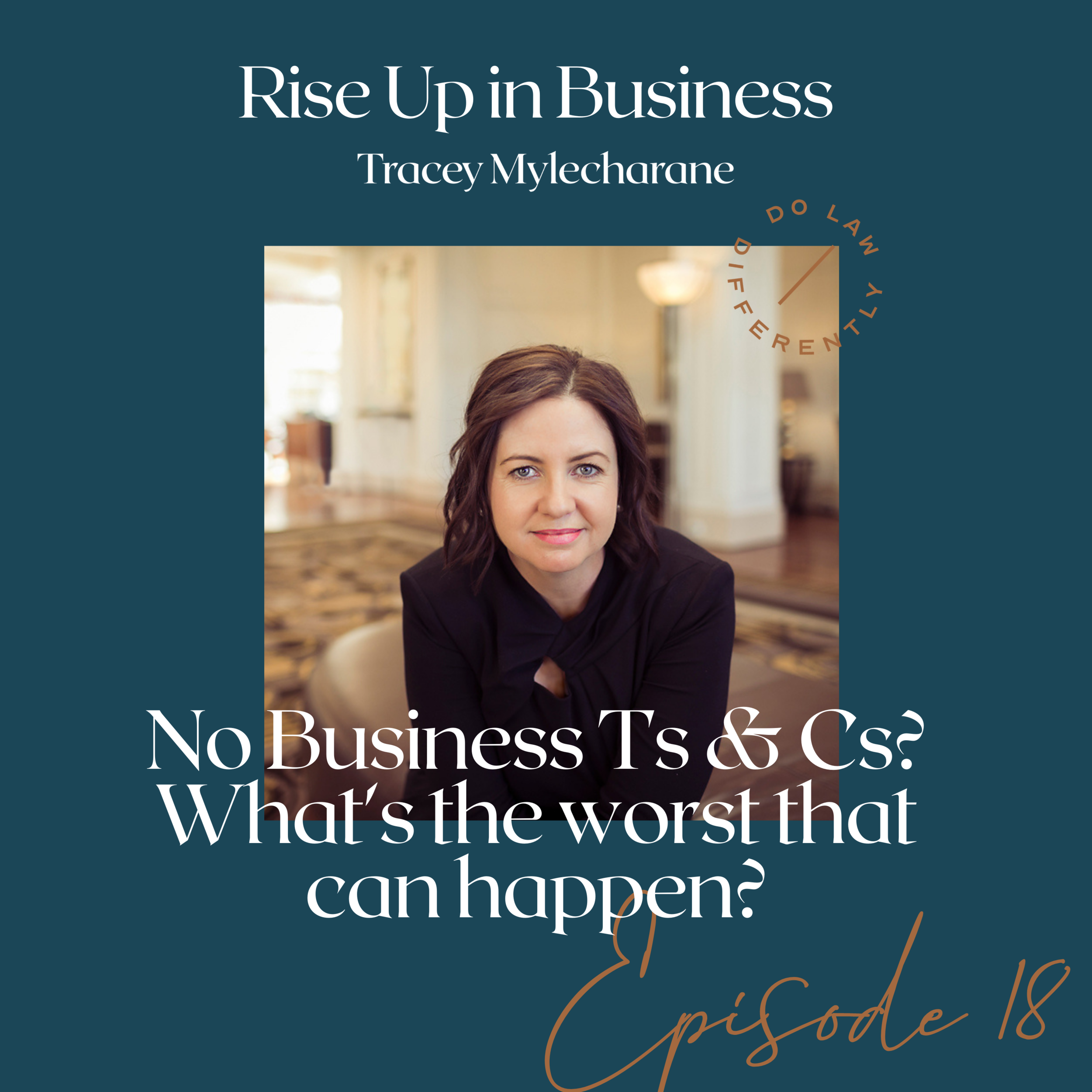 #18 No Business Ts &amp; Cs? What's the worst that can happen?