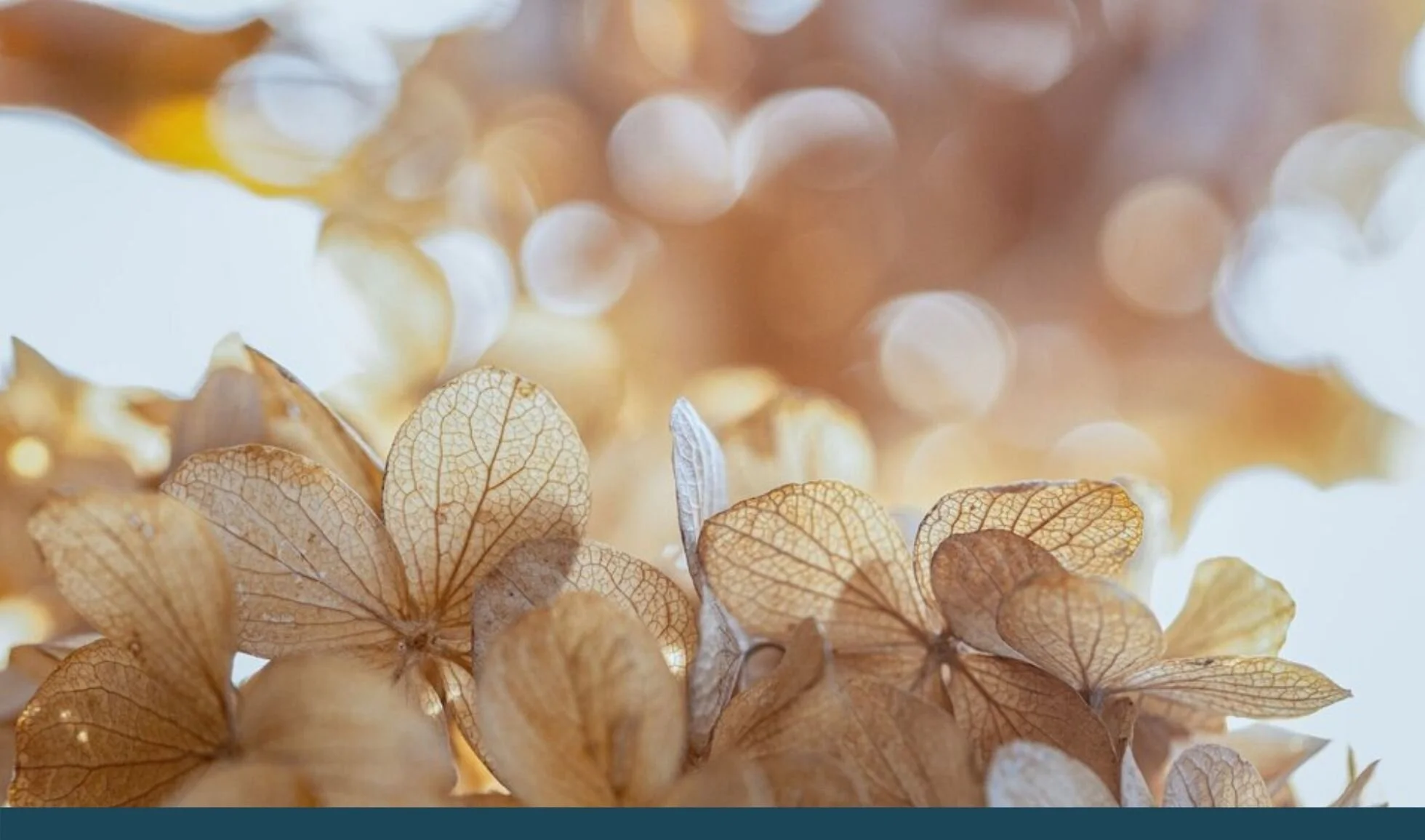 Getting Paid in your service-based small business.