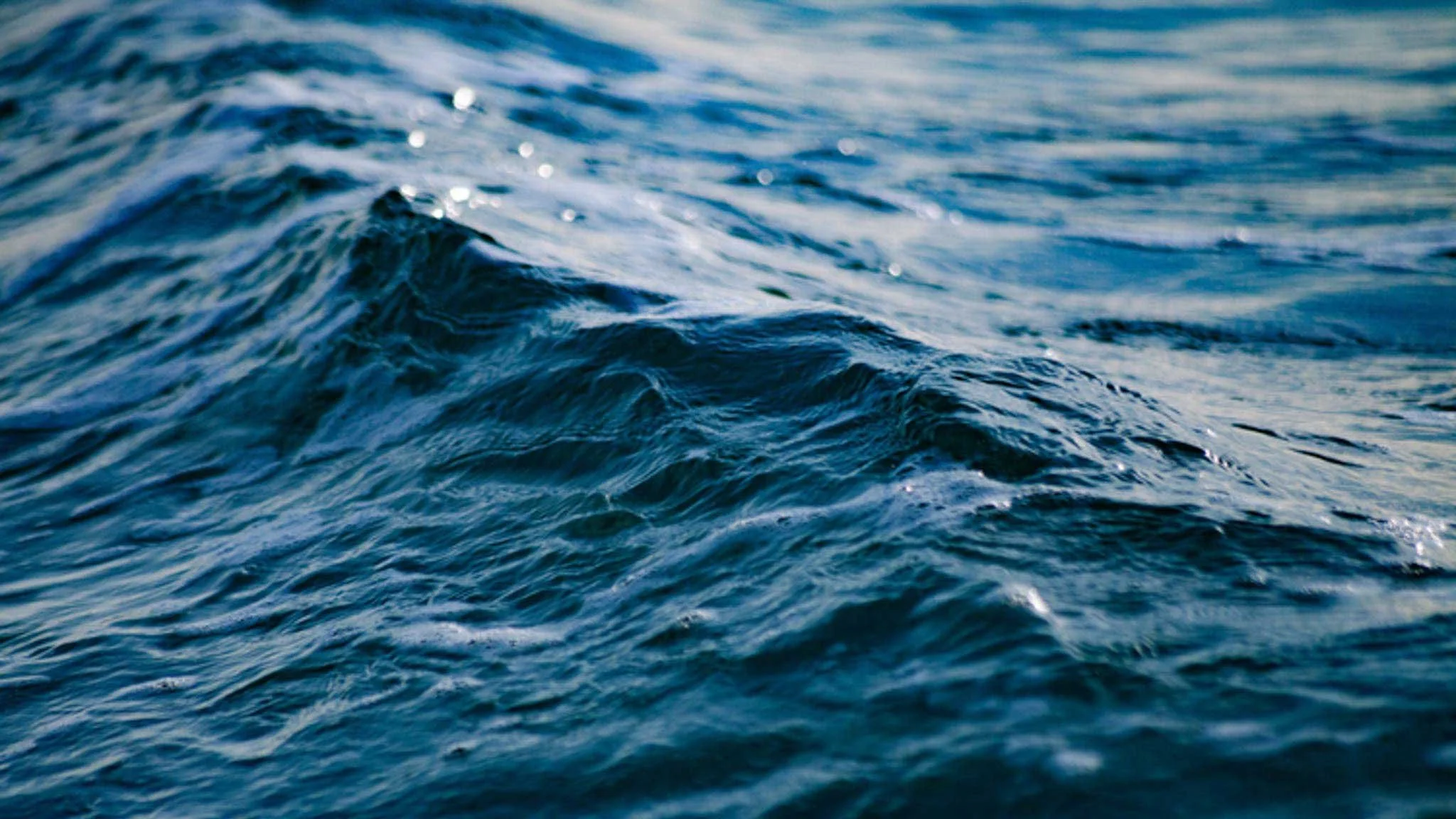 Legal Resources For Creatives