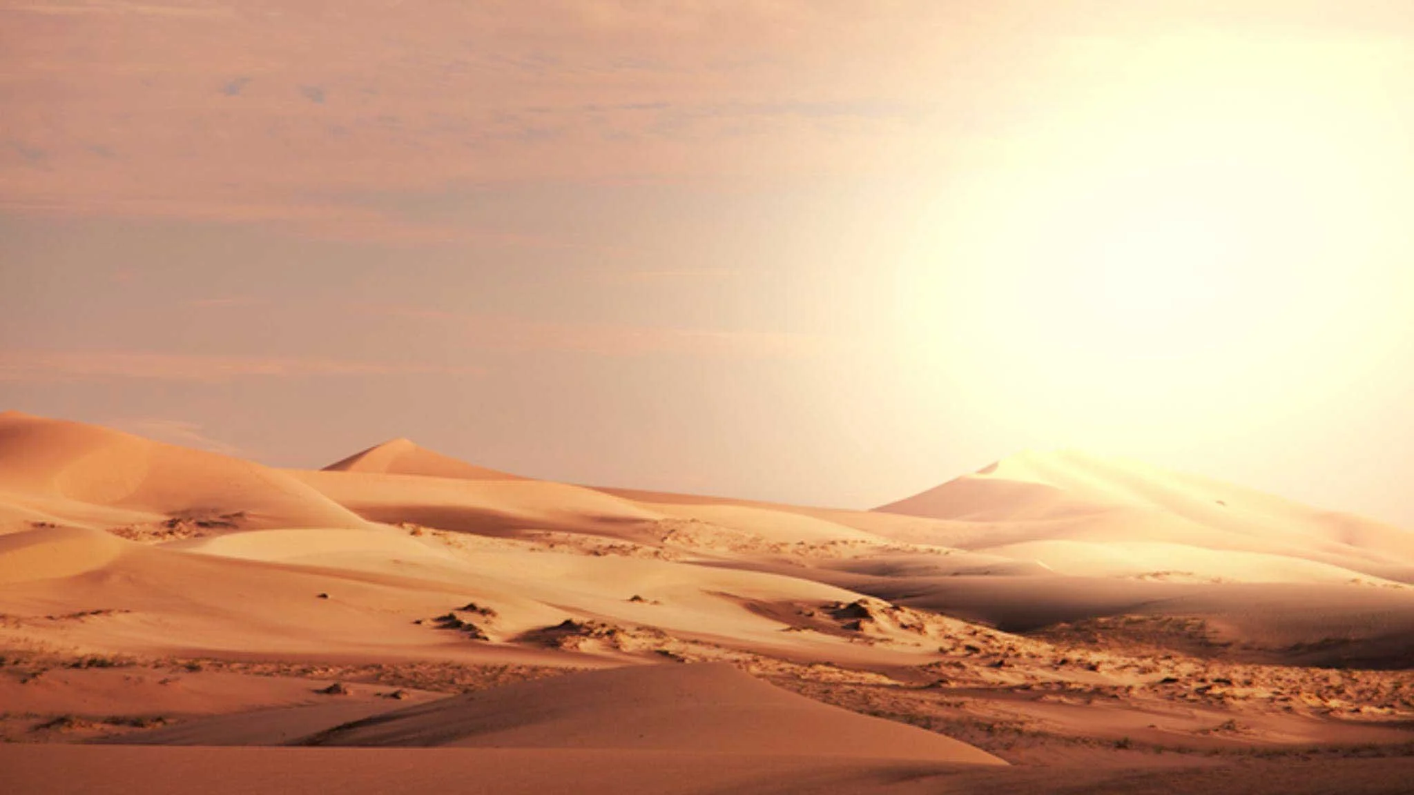 What your contracts CAN'T include