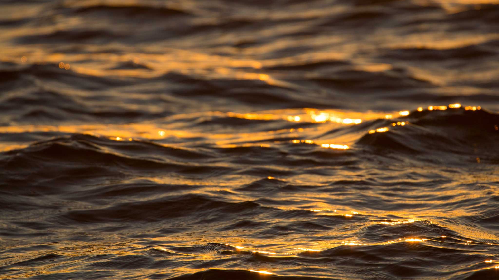 From Prospects to Clients: The Power of Legal Documents in Conversion&nbsp;