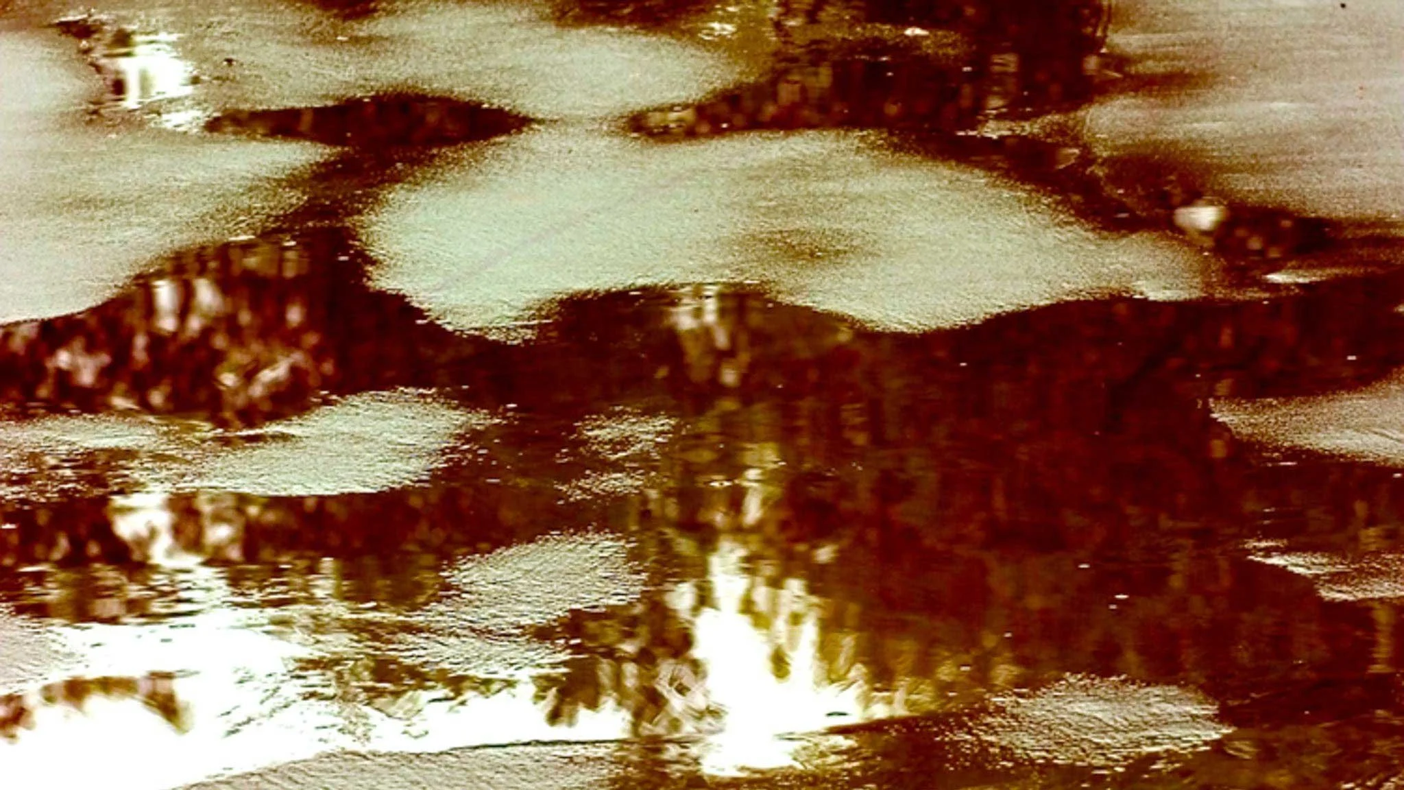 Australian Consumer Law for Service Providers: What You Need to Know