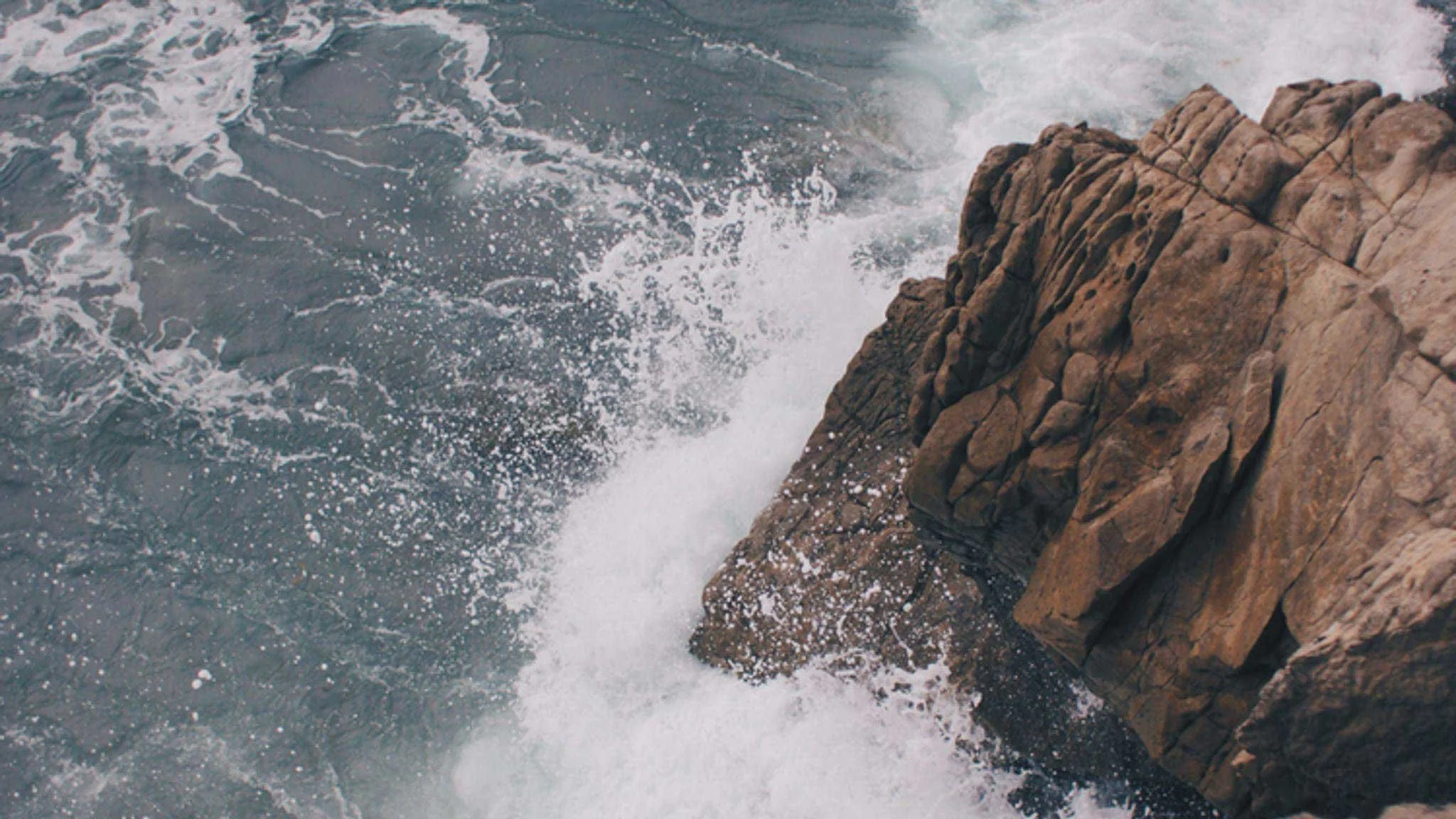 The Great Template Debate: Is it safe to use legal documents from the internet? 