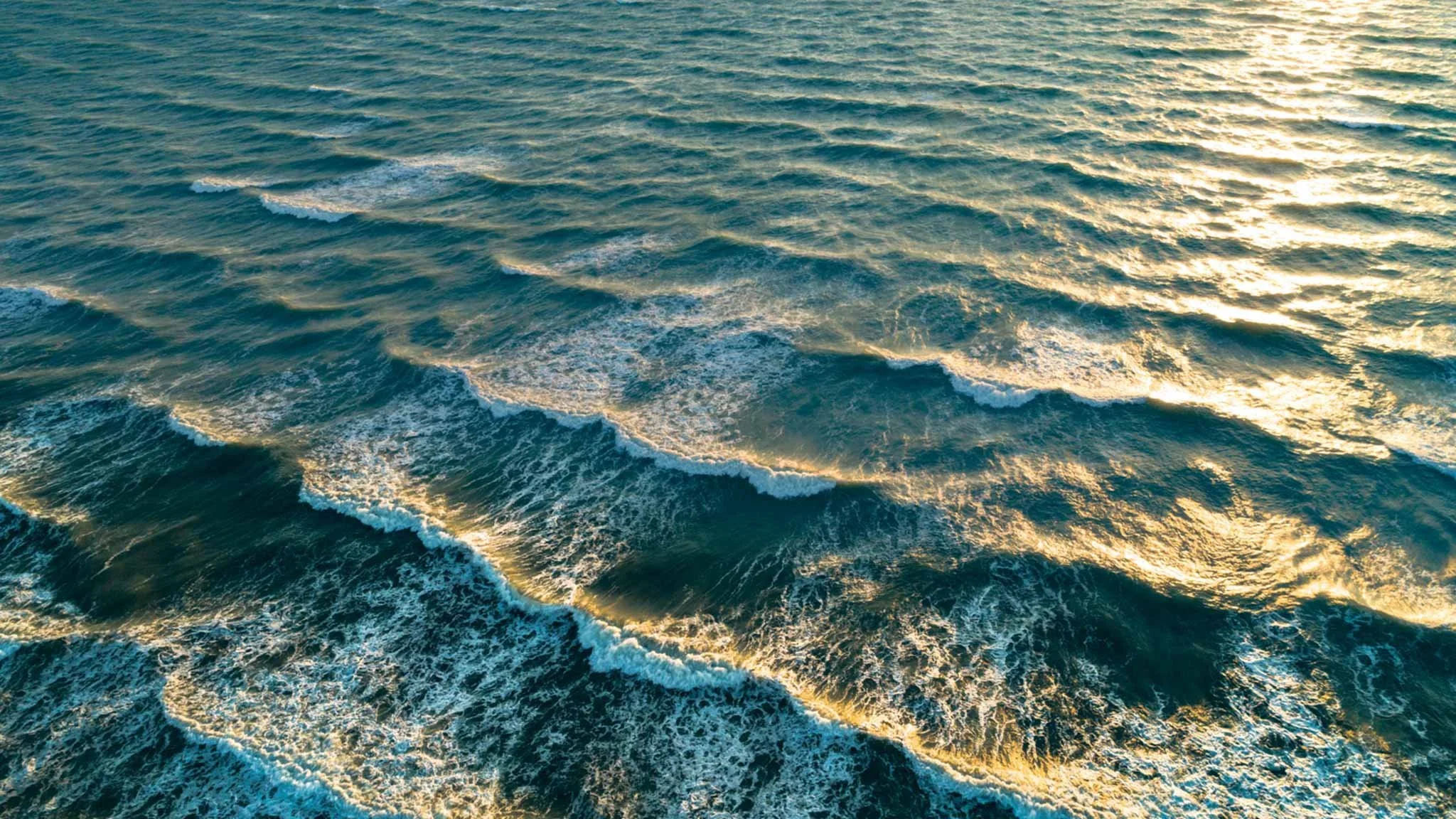 Their Property, Your Risk