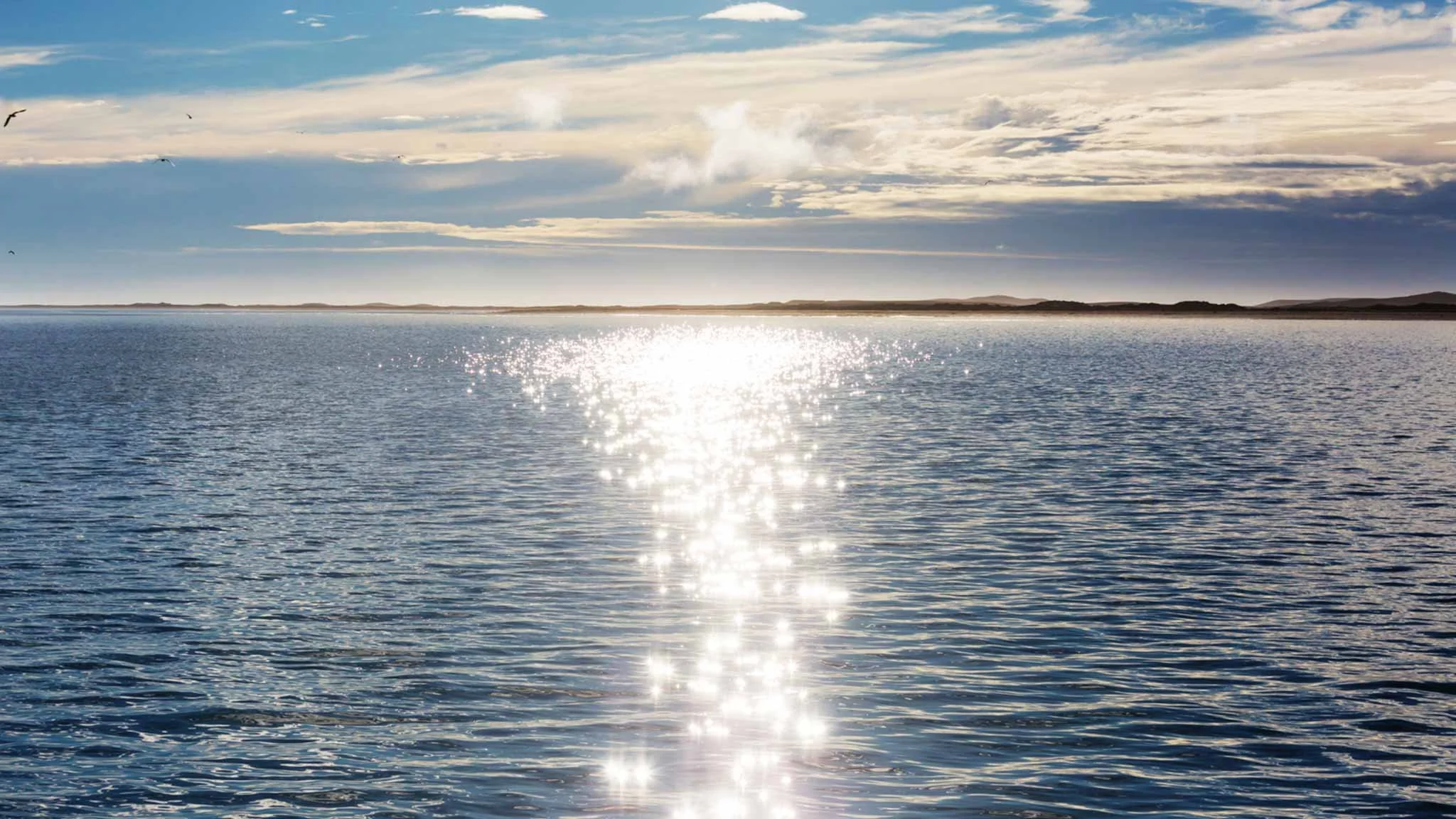 Trademarks and Copyright: Is it Really Yours?