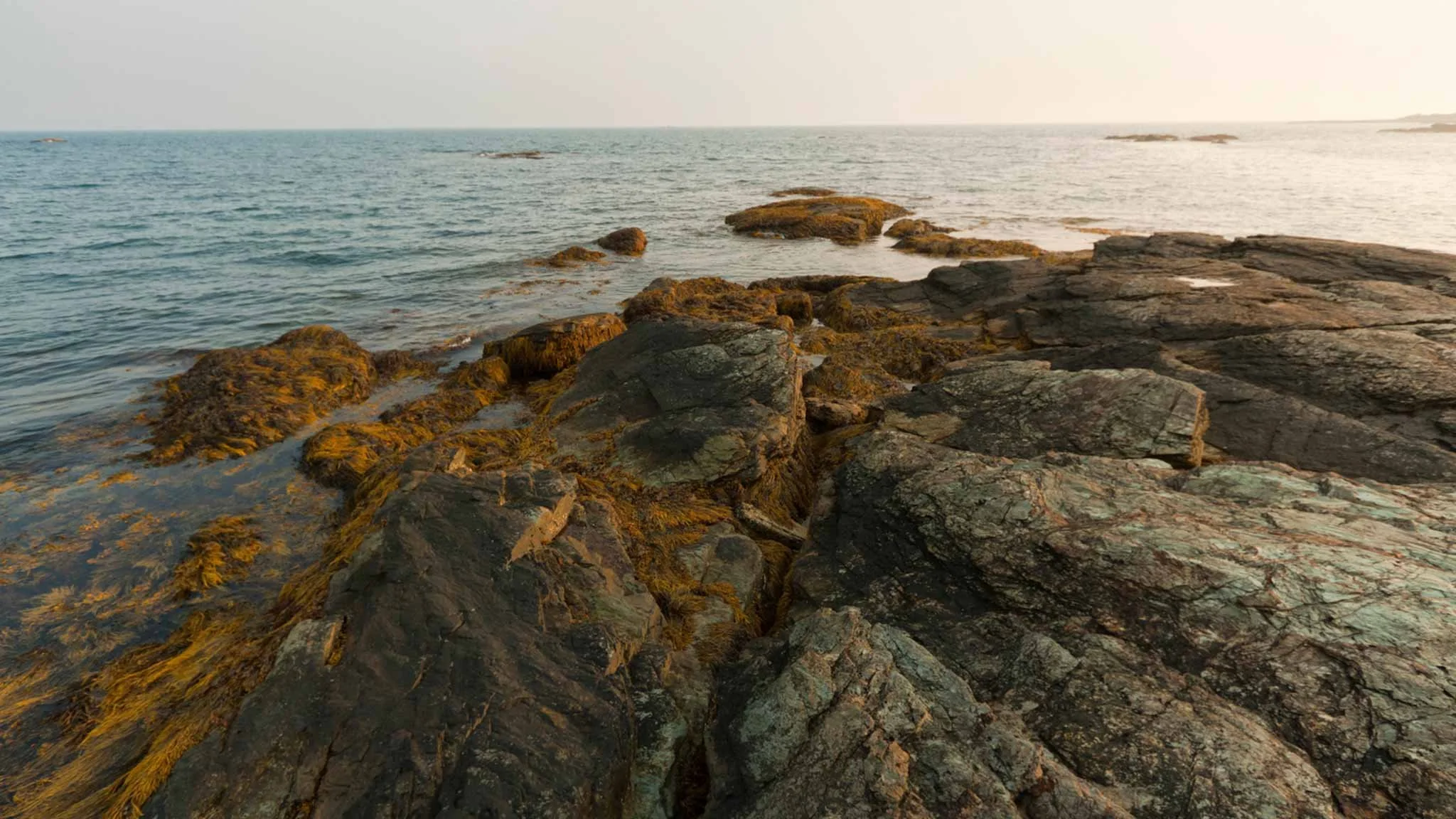 Limited Liability 101 for Creative Services