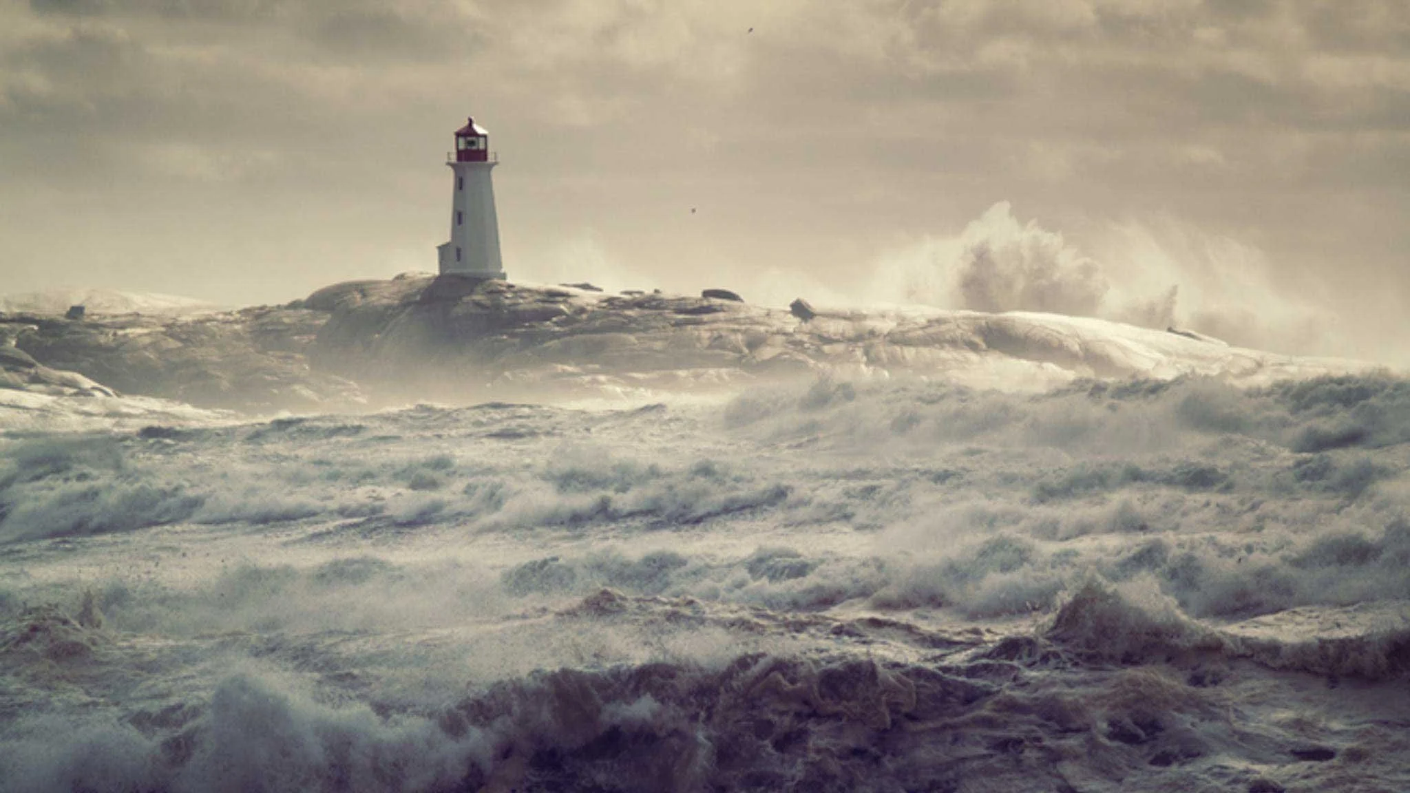 Help! | Seeking legal advice for your business when the wheels have started to fall off.