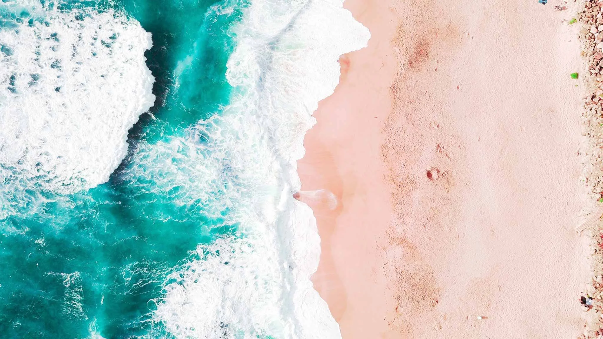 Sole Trader or Company? | What is the best business structure for me?