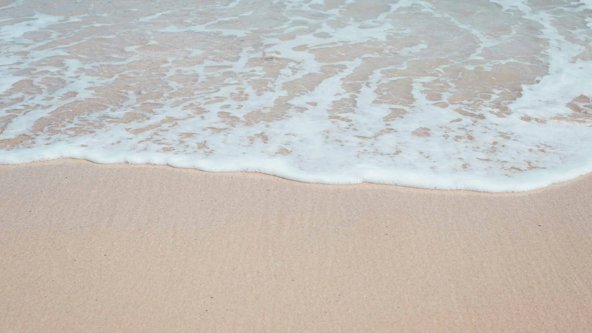 Protecting your Intellectual Property in a Competitive Marketplace