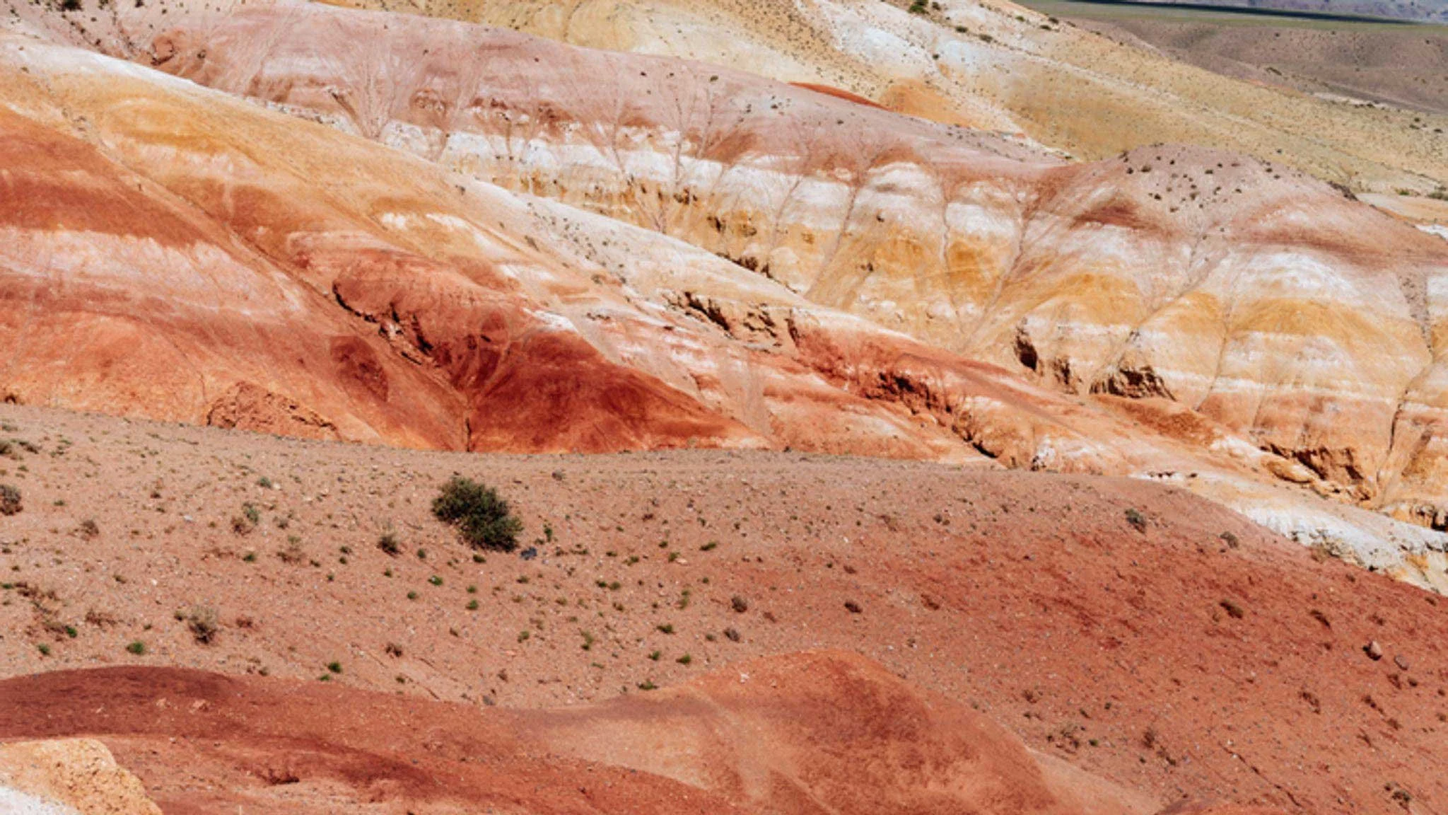 What are Assets and Liabilities? | Small Business Legal Advice