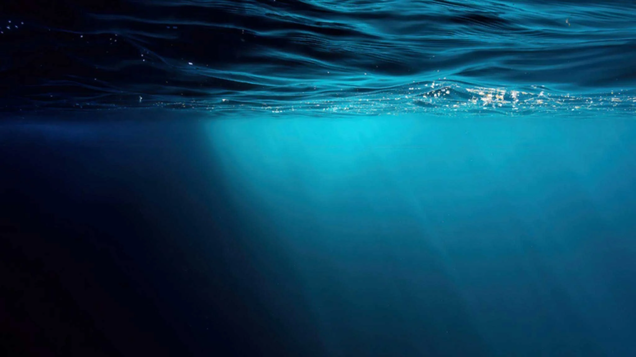 What’s holding back your business from hitting the next level?