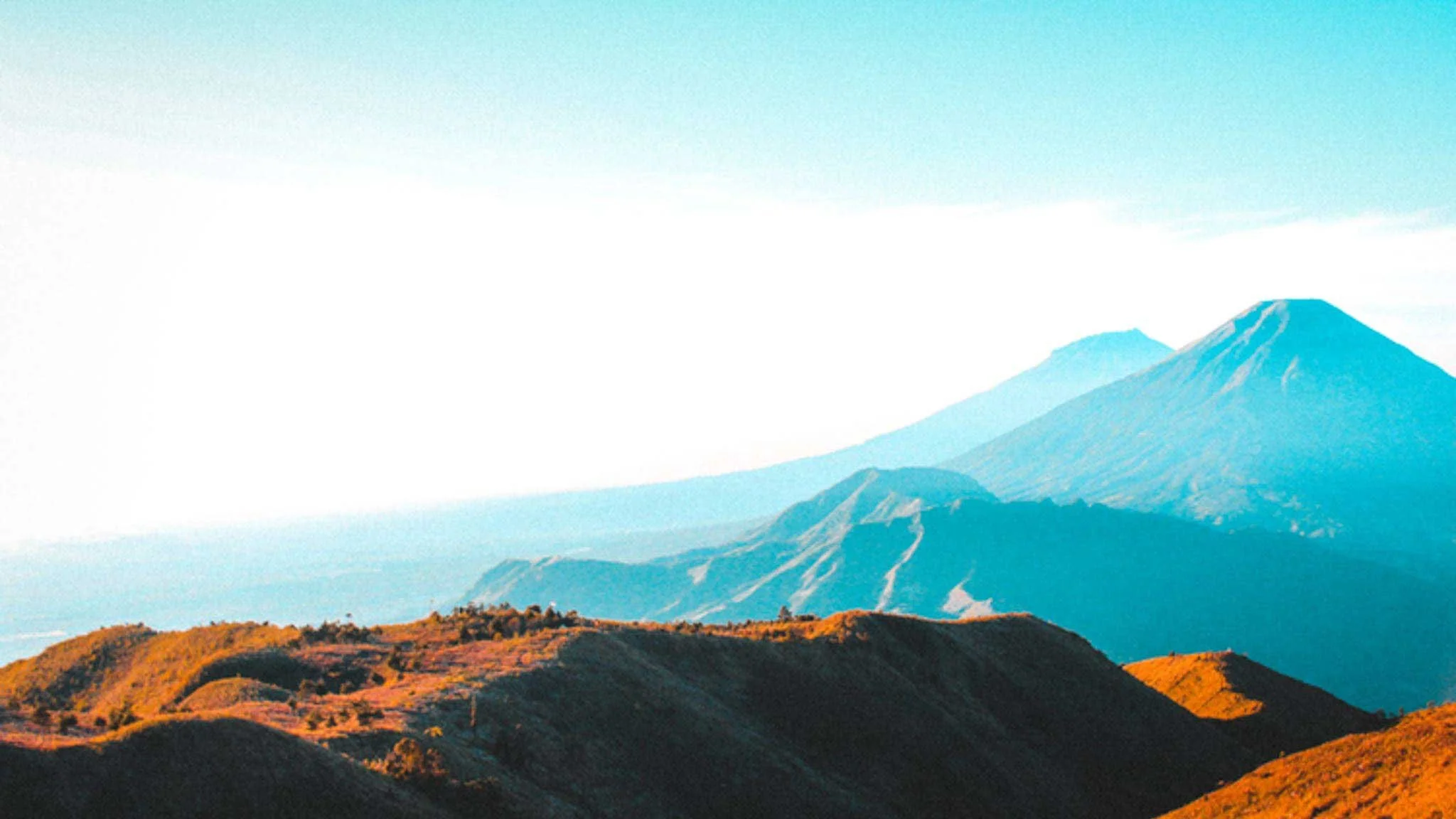 Director Identification Numbers: Important Changes to the Law