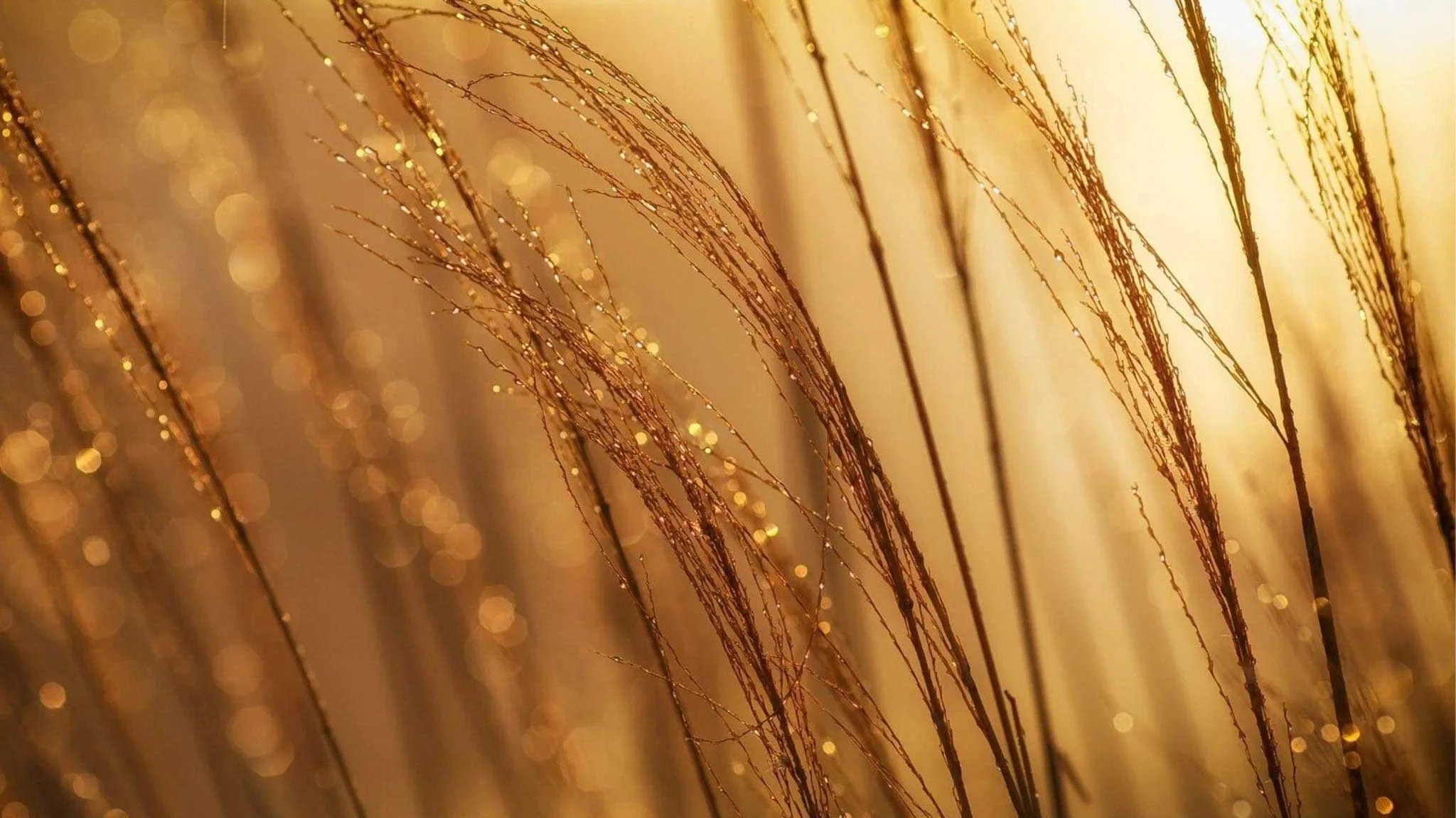 The Cost Of A Start-Up | How to keep business costs down, right from the beginning