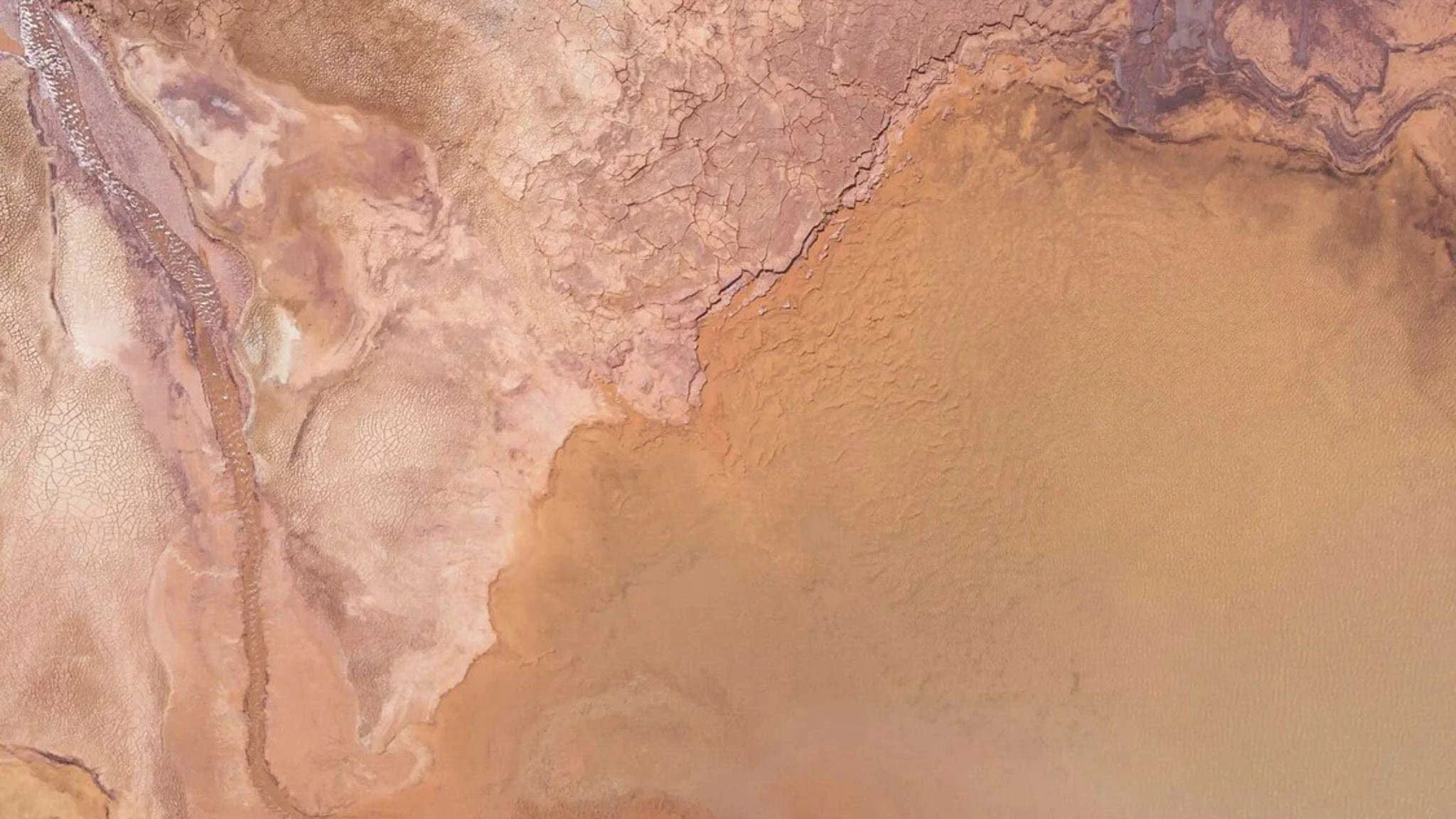 How To Act Now To Protect Your Business