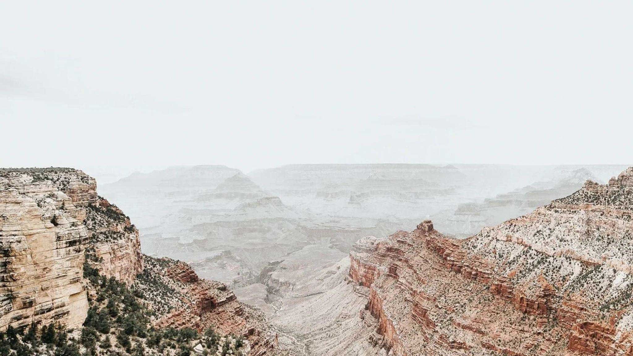 Pulling Together Through The Hard Times