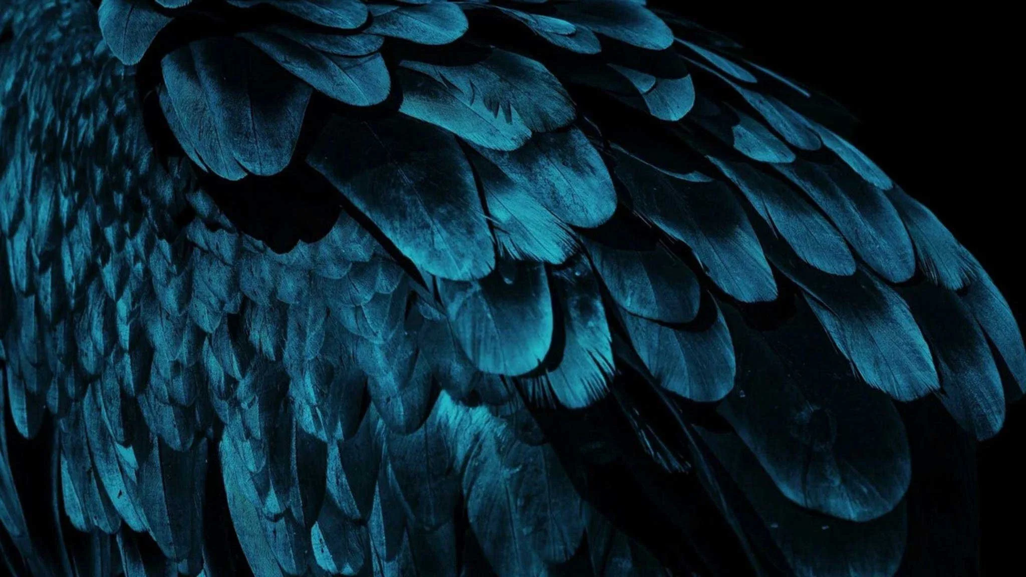 The Banking Royal Commission &amp; the Powers of ‘Discovery’