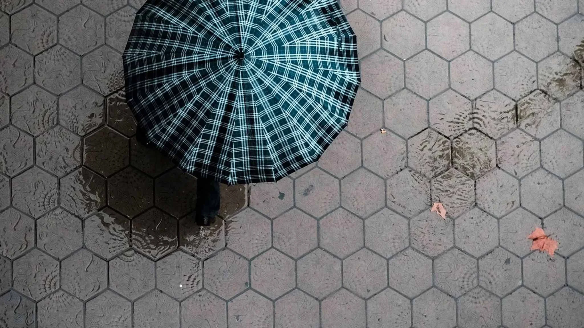 The Banking Royal Commission - An Update