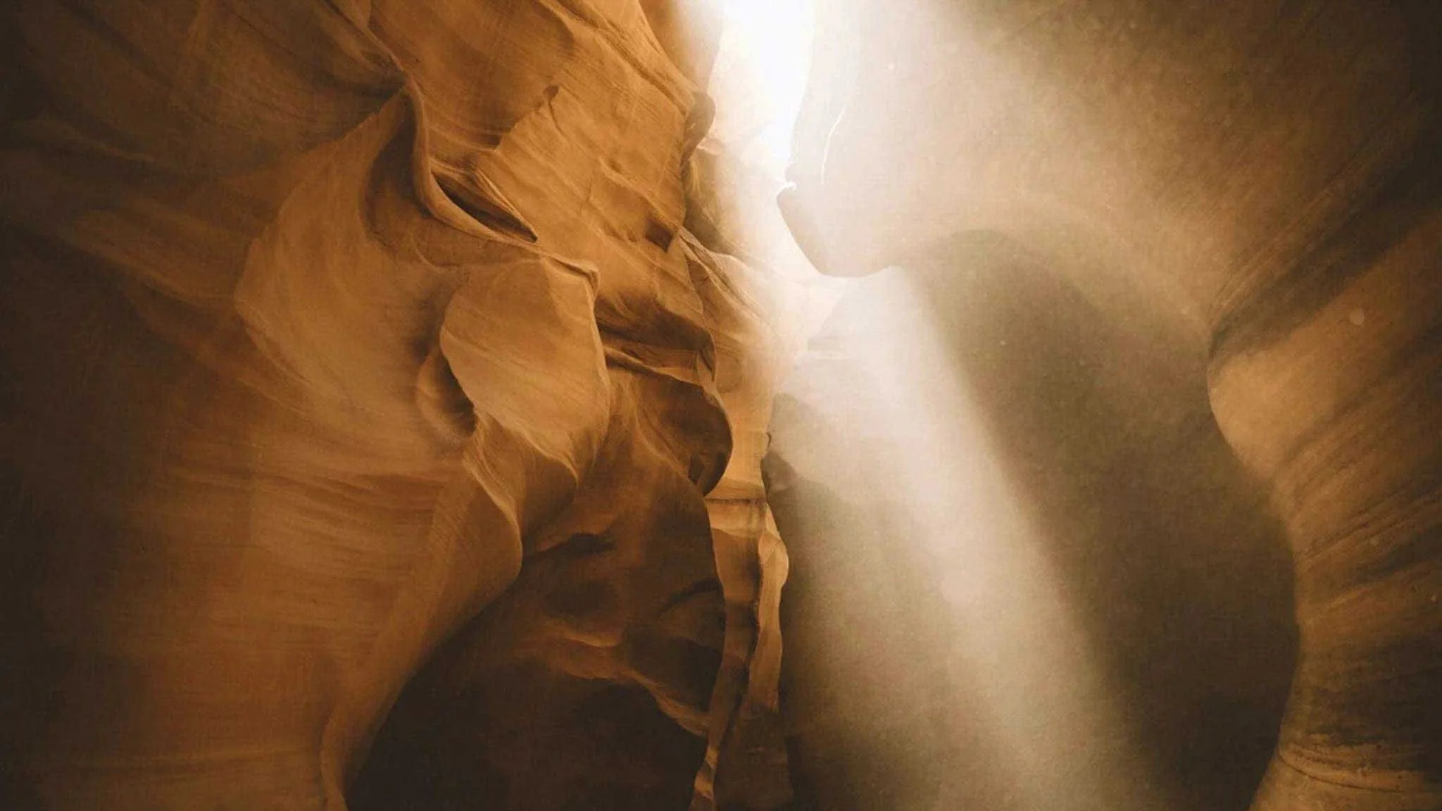 The Upshot of the Review of the Four Major Banks (the Coleman Report)