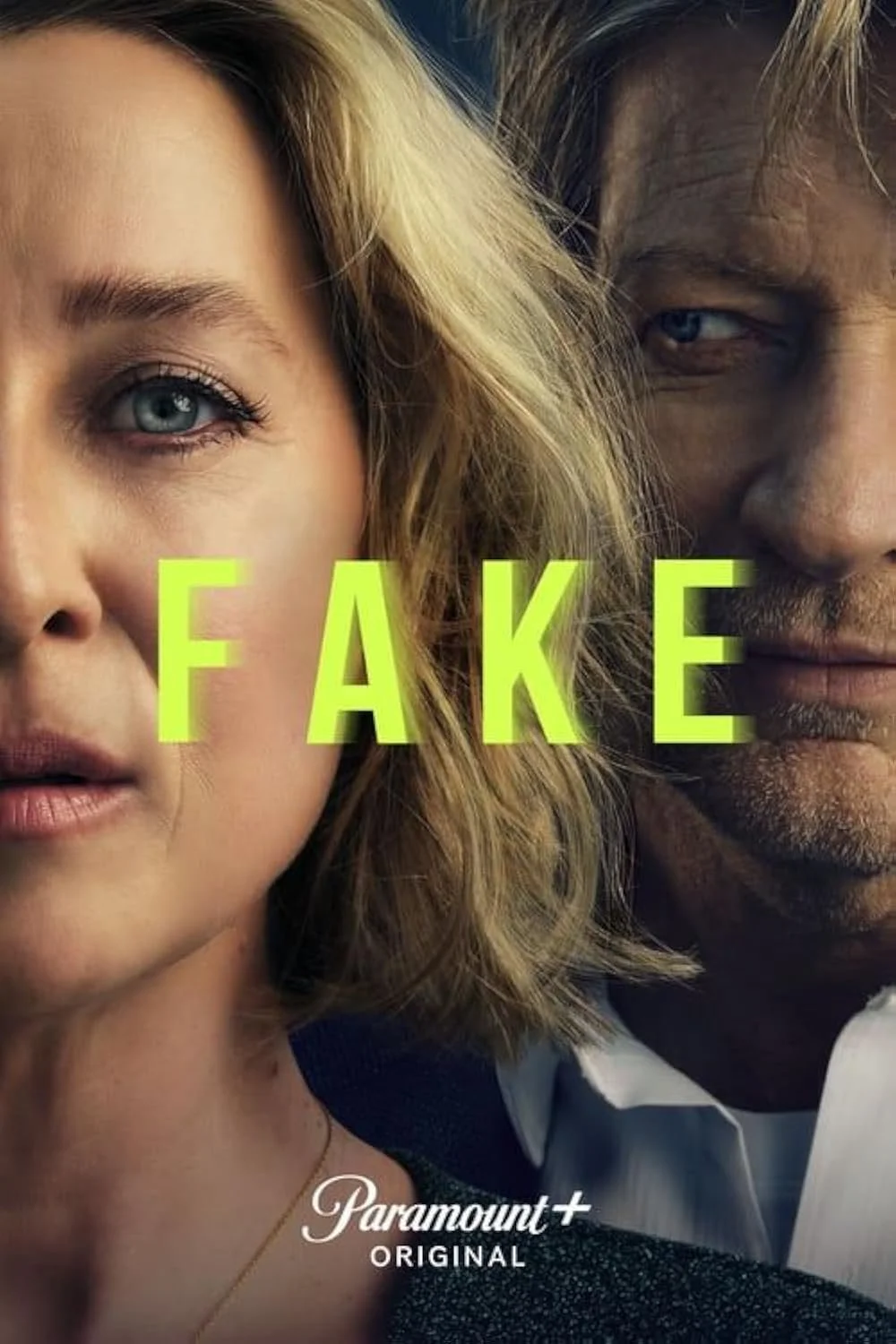FAKE POSTER HIGH DEF.jpg