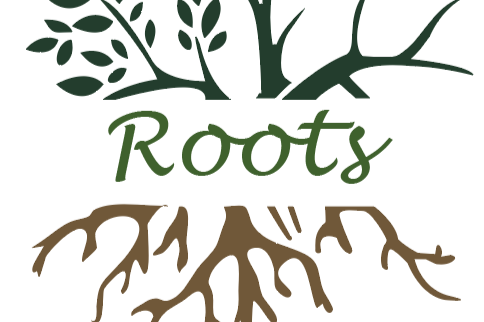 Roots Game Development