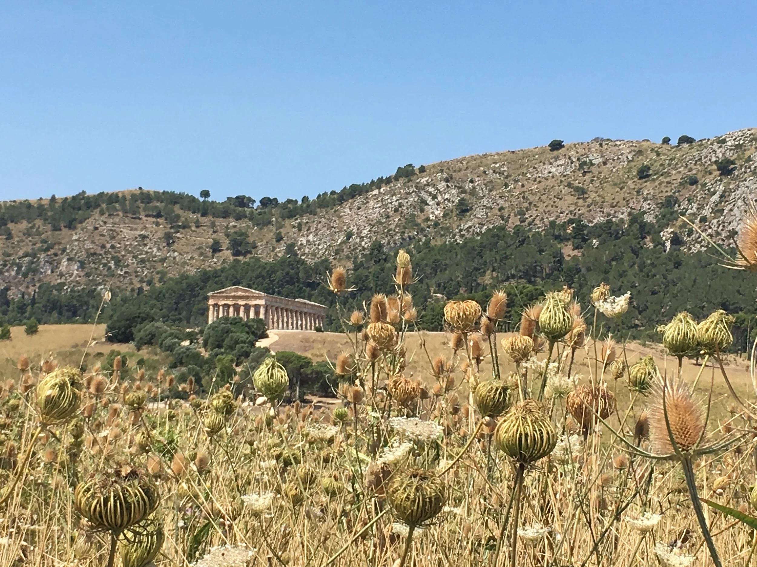 Ancient Greek temple on a hillside with dry grass and wildflowers in the foreground, and hills with sparse trees and a clear blue sky in the background.