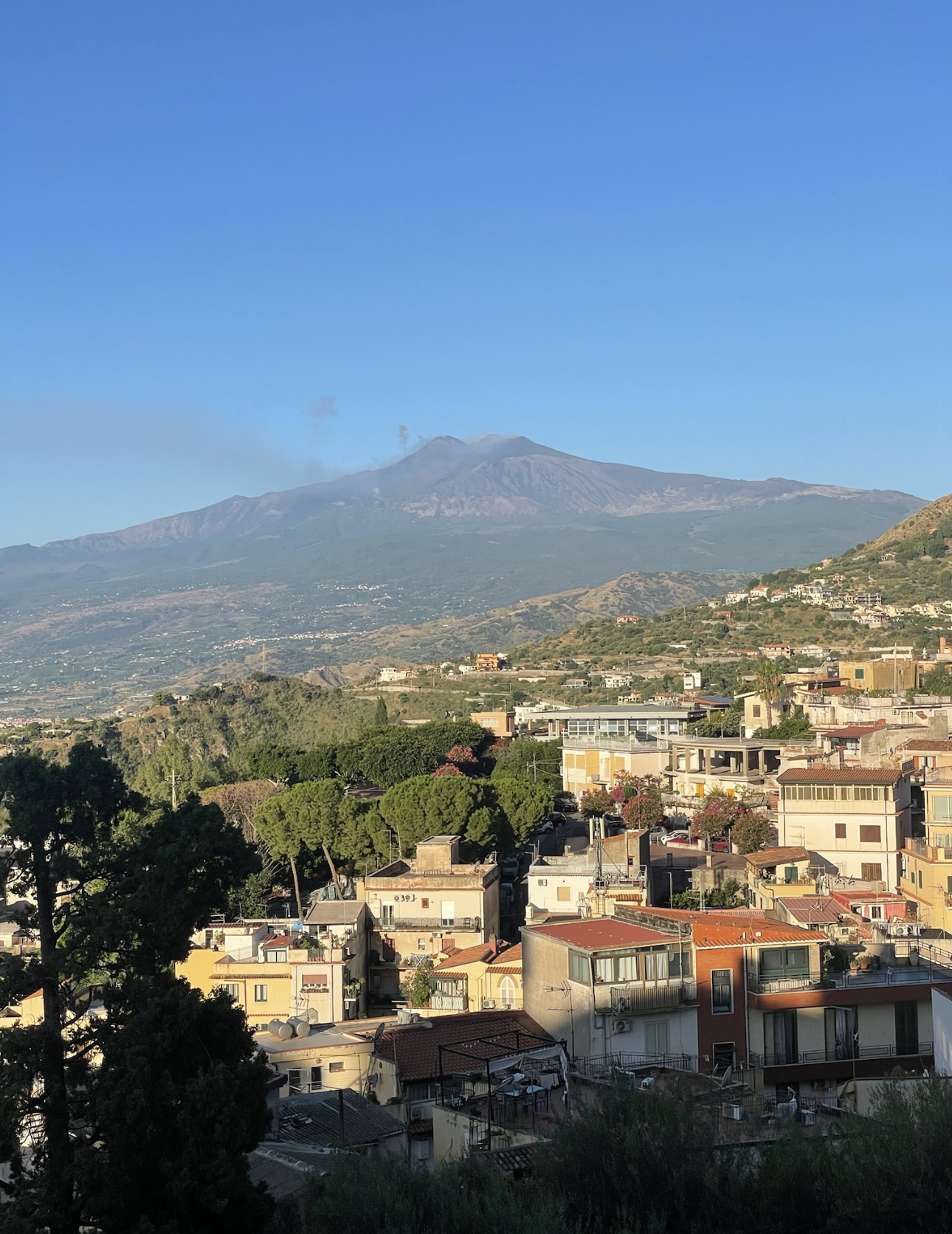 View of a cityscape with buildings, trees, and a mountain in the background under a clear blue sky.