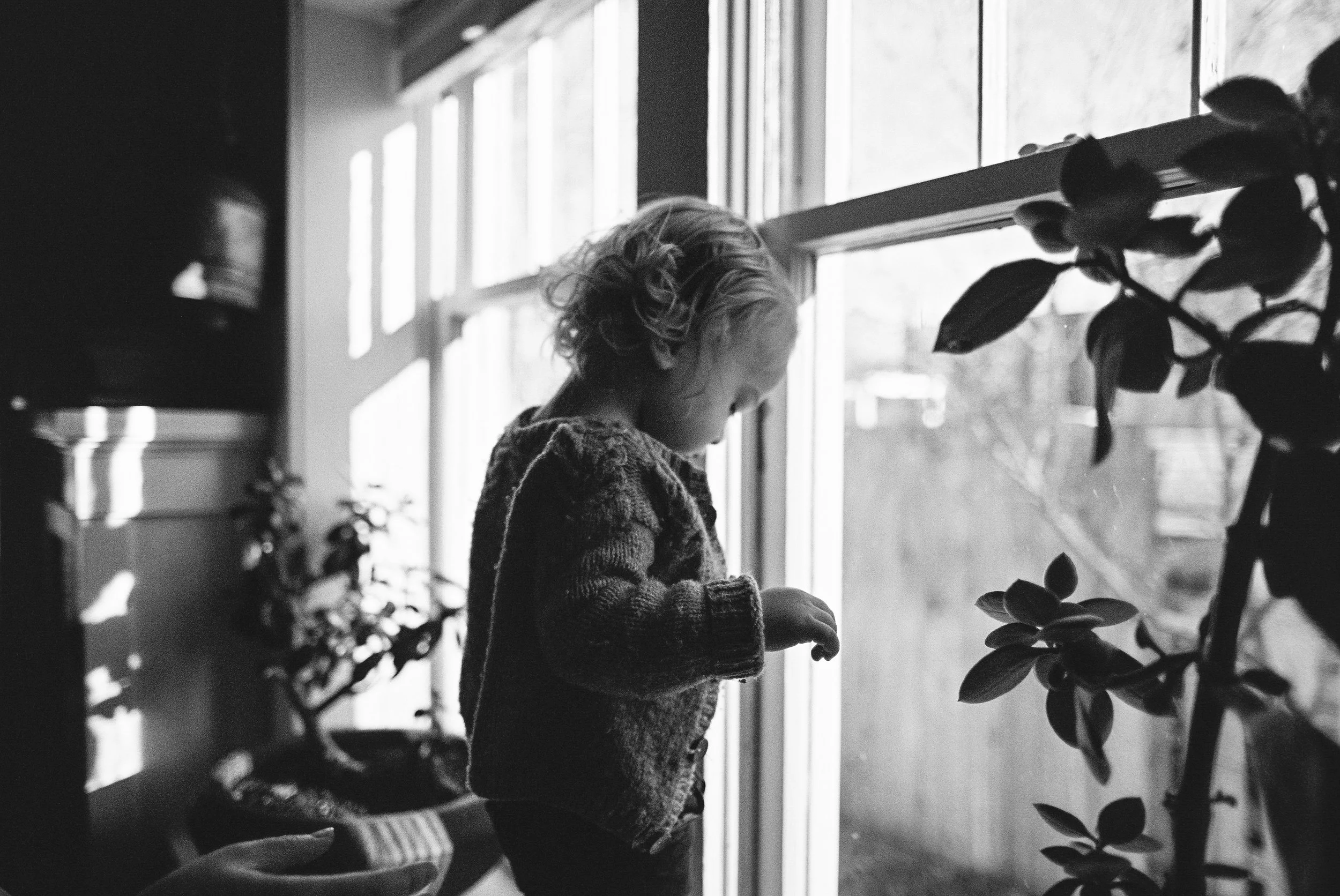 A young child with curly hair looking out a window on a cloudy day, with plants visible on the right side of the window.
