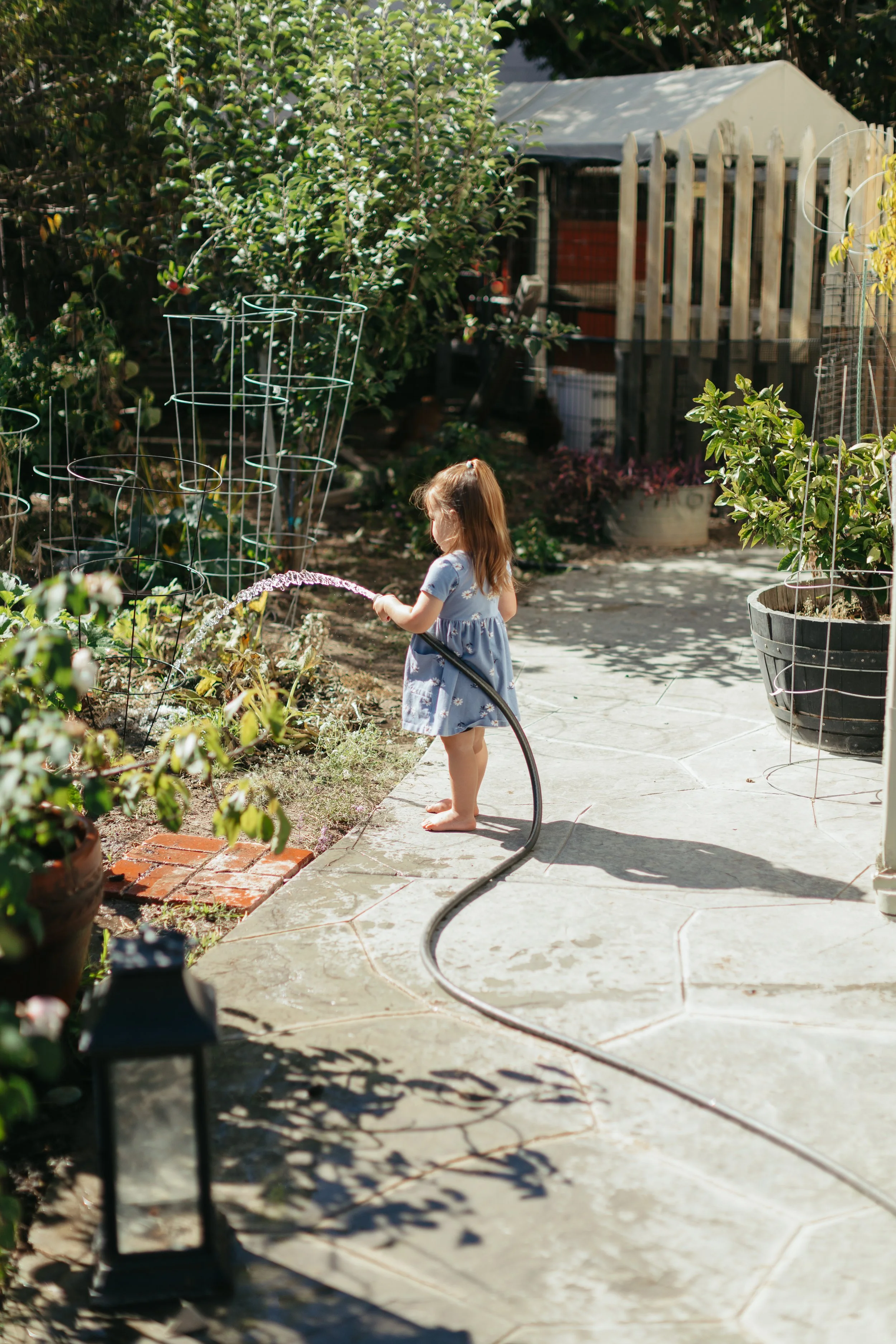 A young girl in a blue dress watering plants in a garden with lush green foliage, garden stakes, and a paved stone pathway.