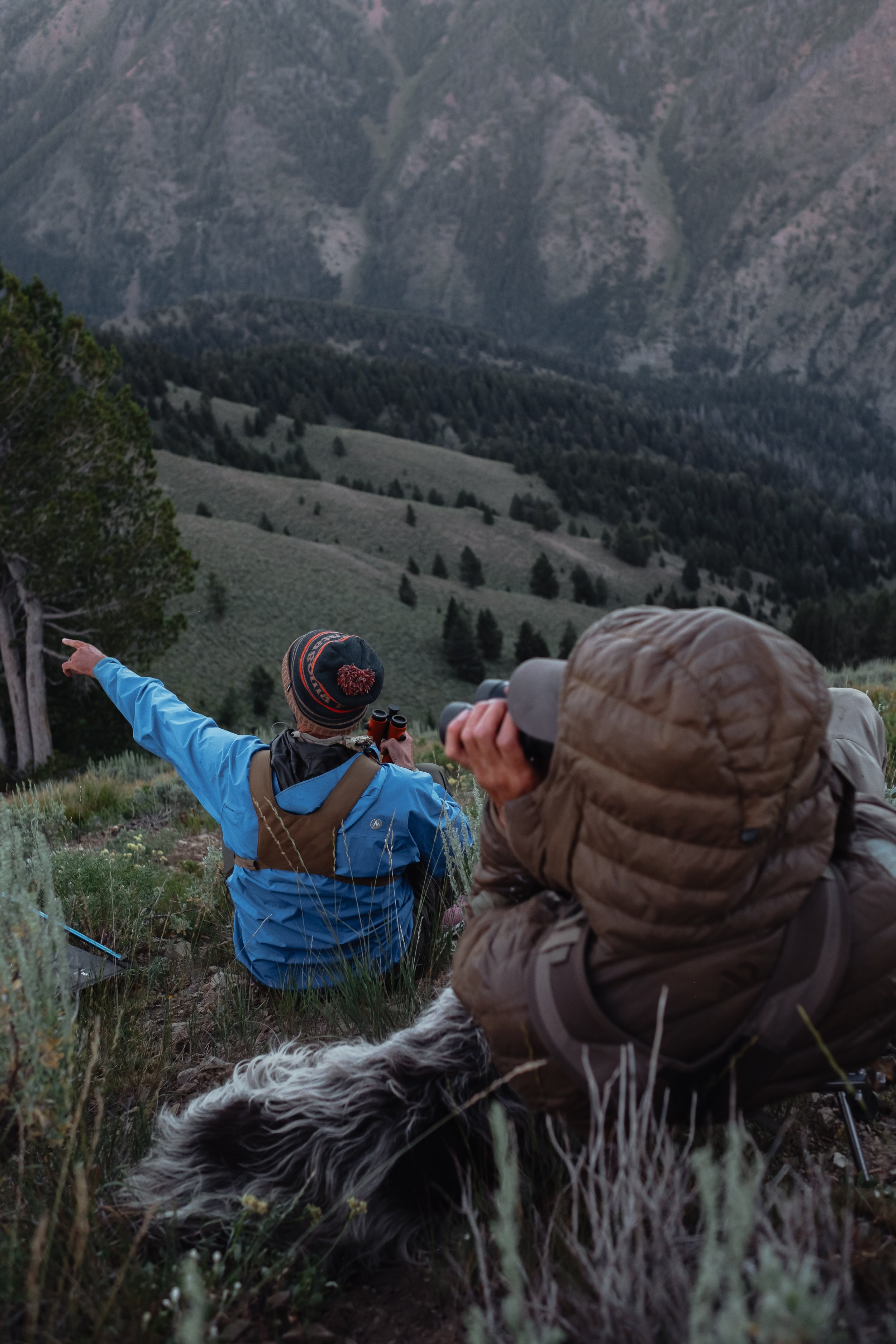 Two hikers sitting on a grassy hillside overlooking a mountain landscape, with one pointing towards the distance and the other looking through binoculars.