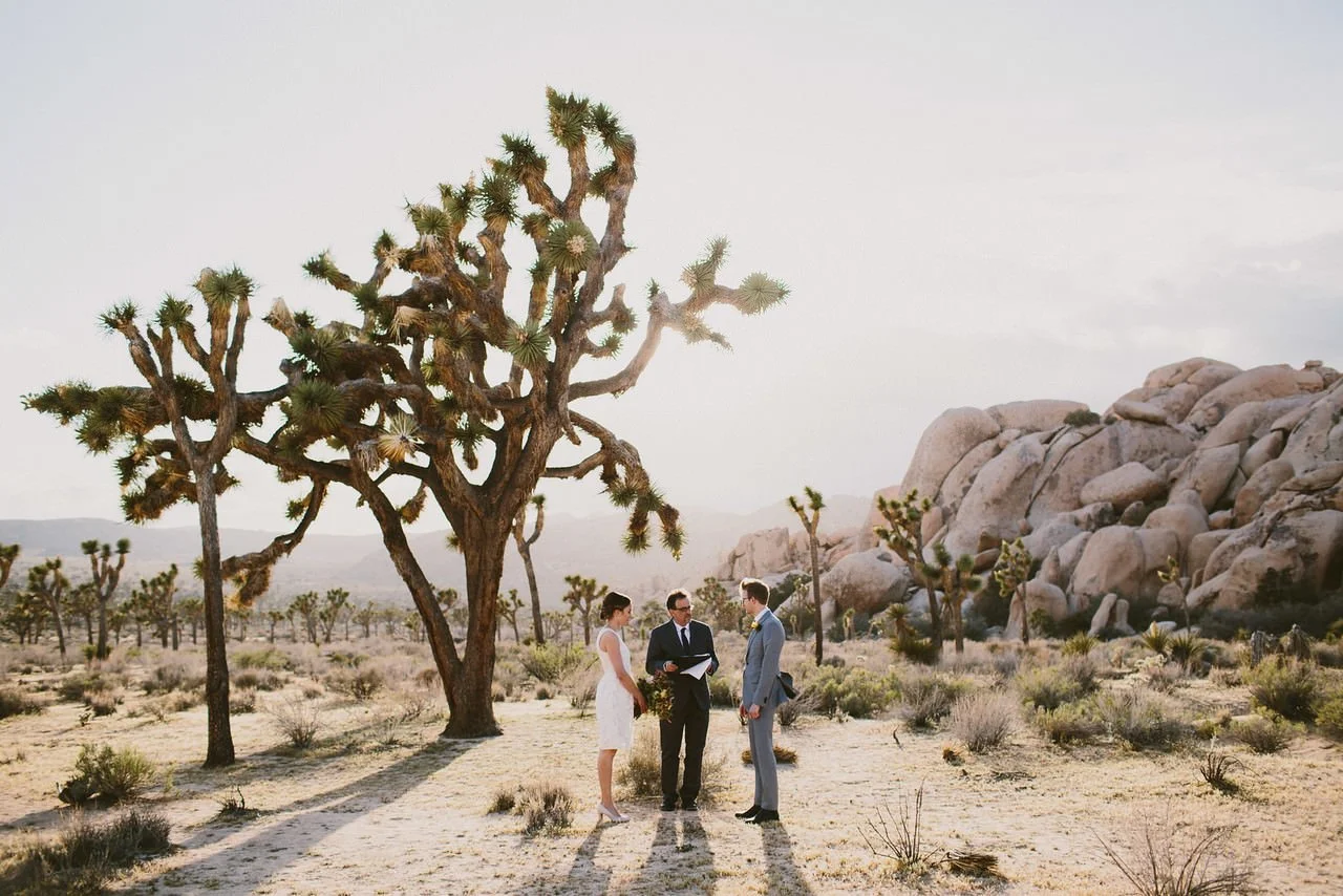 Elopement wedding in Joshua Tree Ca
