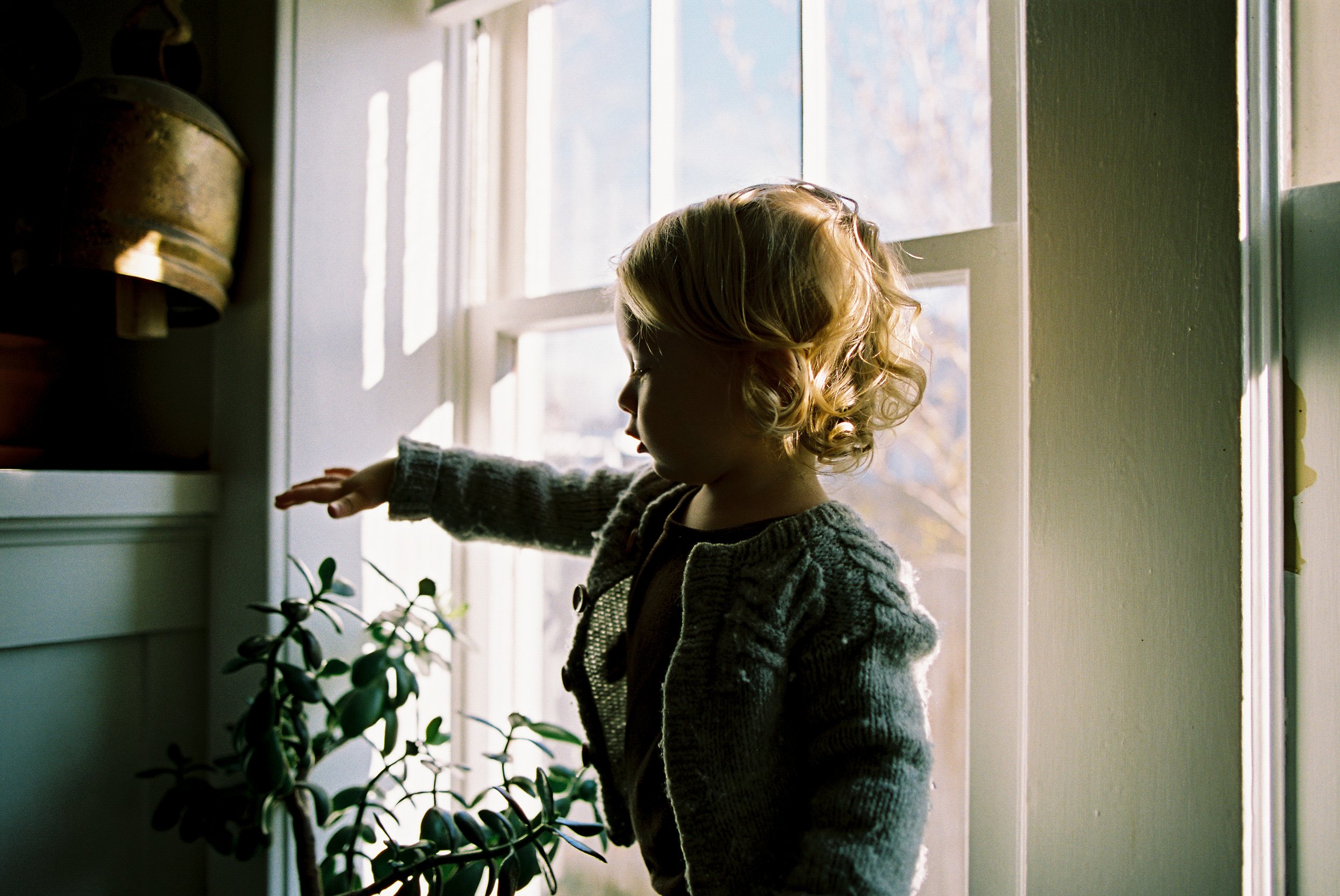 A young girl with curly blonde hair reaching out towards a potted plant on a shelf next to a window, with sunlight streaming through.