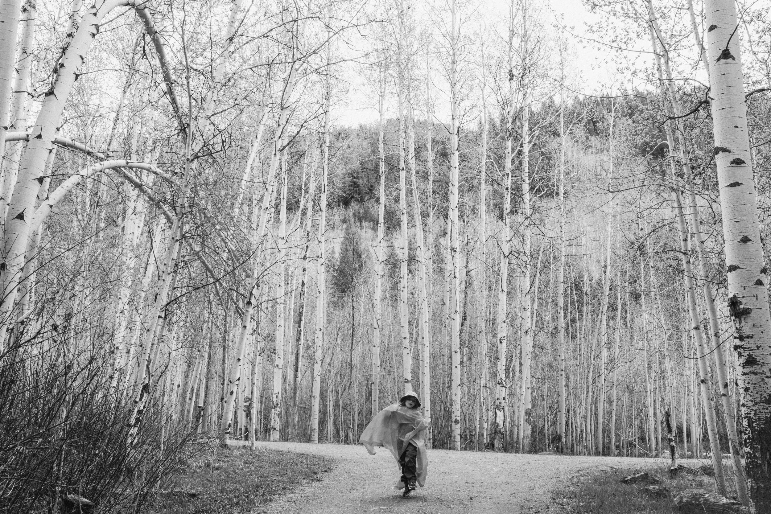 Boise Family Photographer