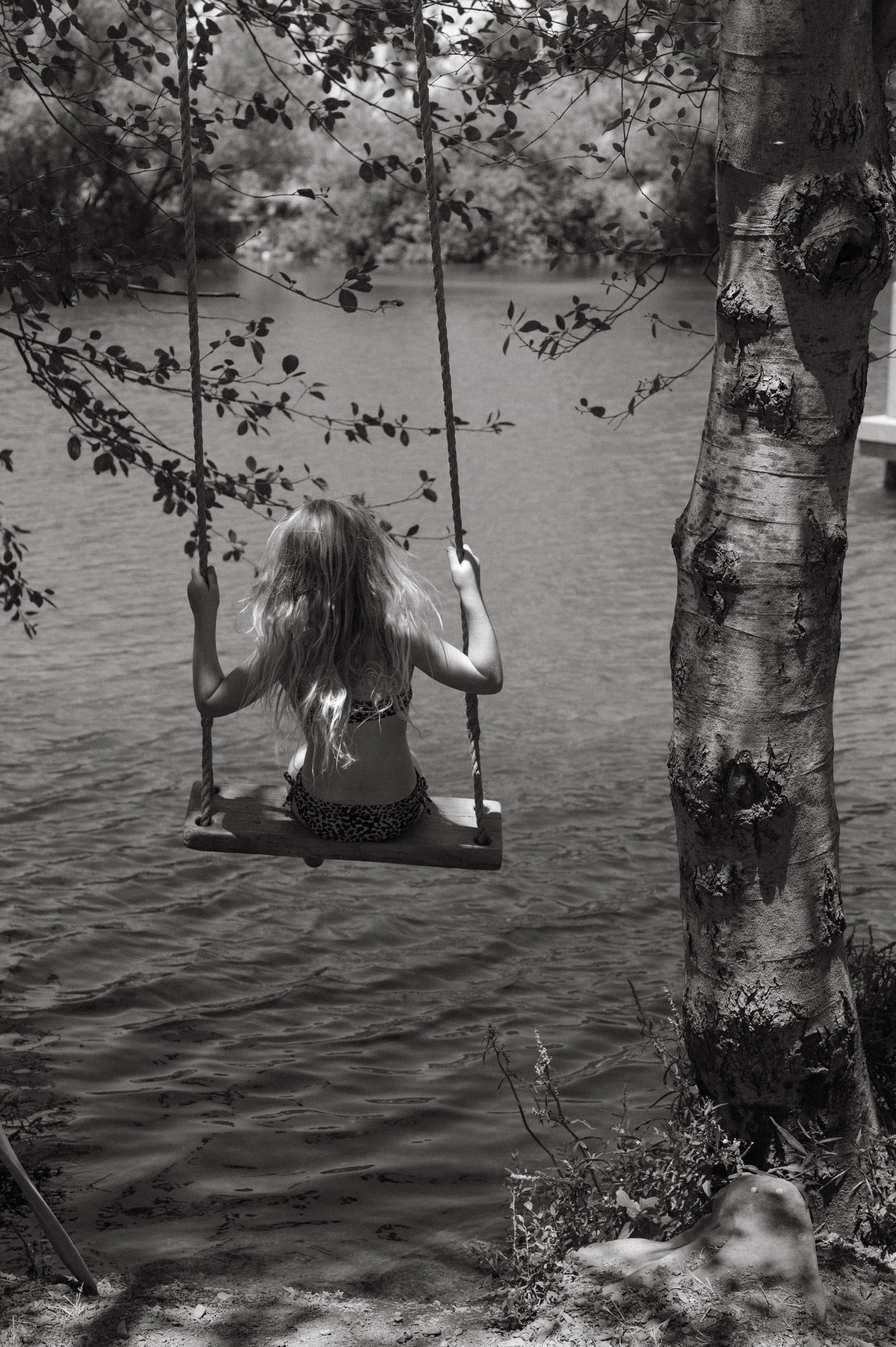 A girl with long hair sitting on a swing hanging from a tree, overlooking a body of water.