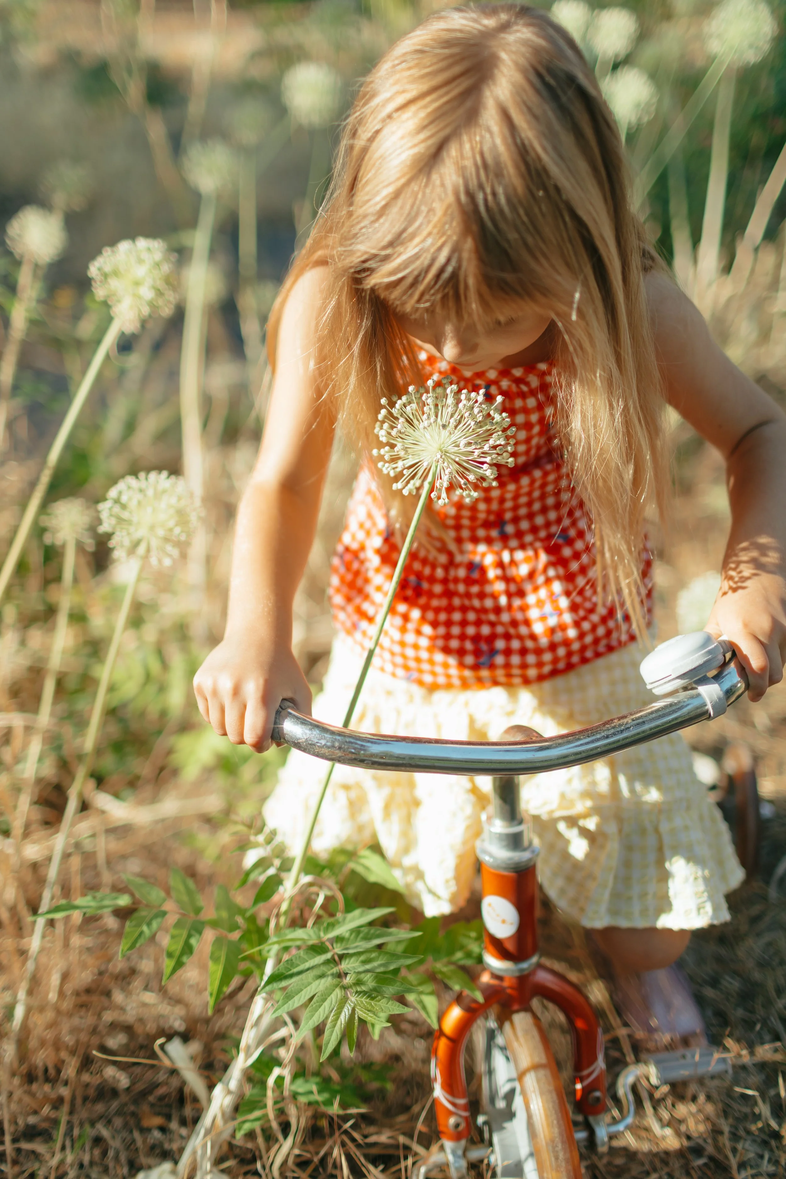 A young girl with long blonde hair wearing a red checkered top and yellow skirt riding a small bicycle in a field of tall plants with white flowers.