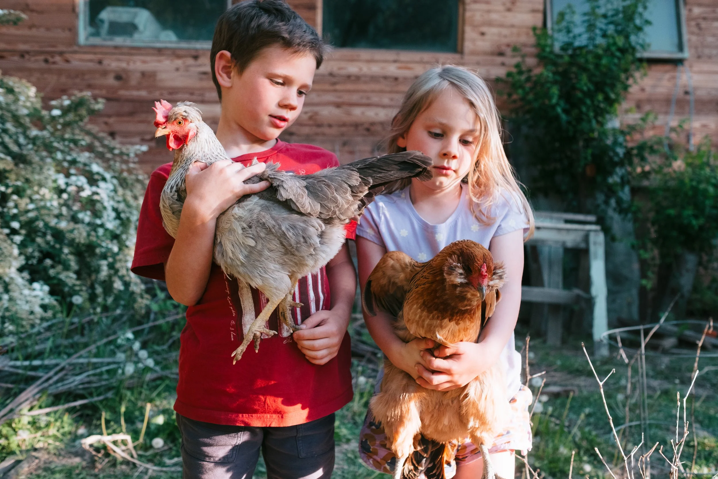 Boise Family Photographer
