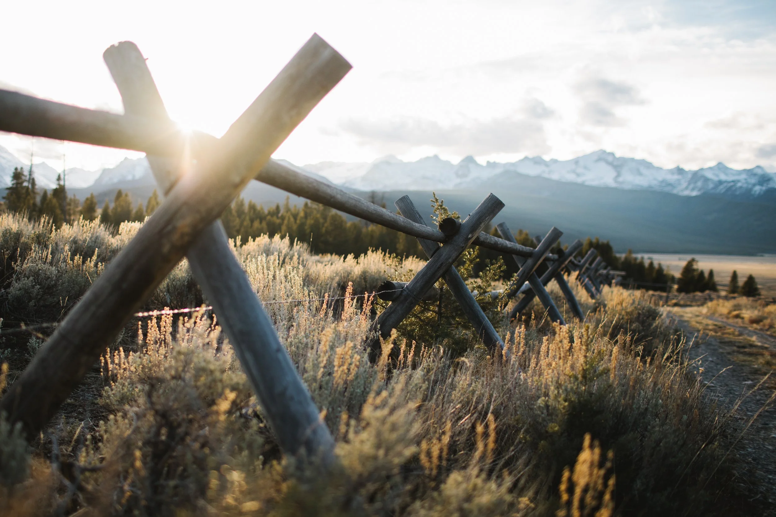 Wooden fence running through a field of tall grass and shrubs, with snow-capped mountains in the background under a cloudy sky.