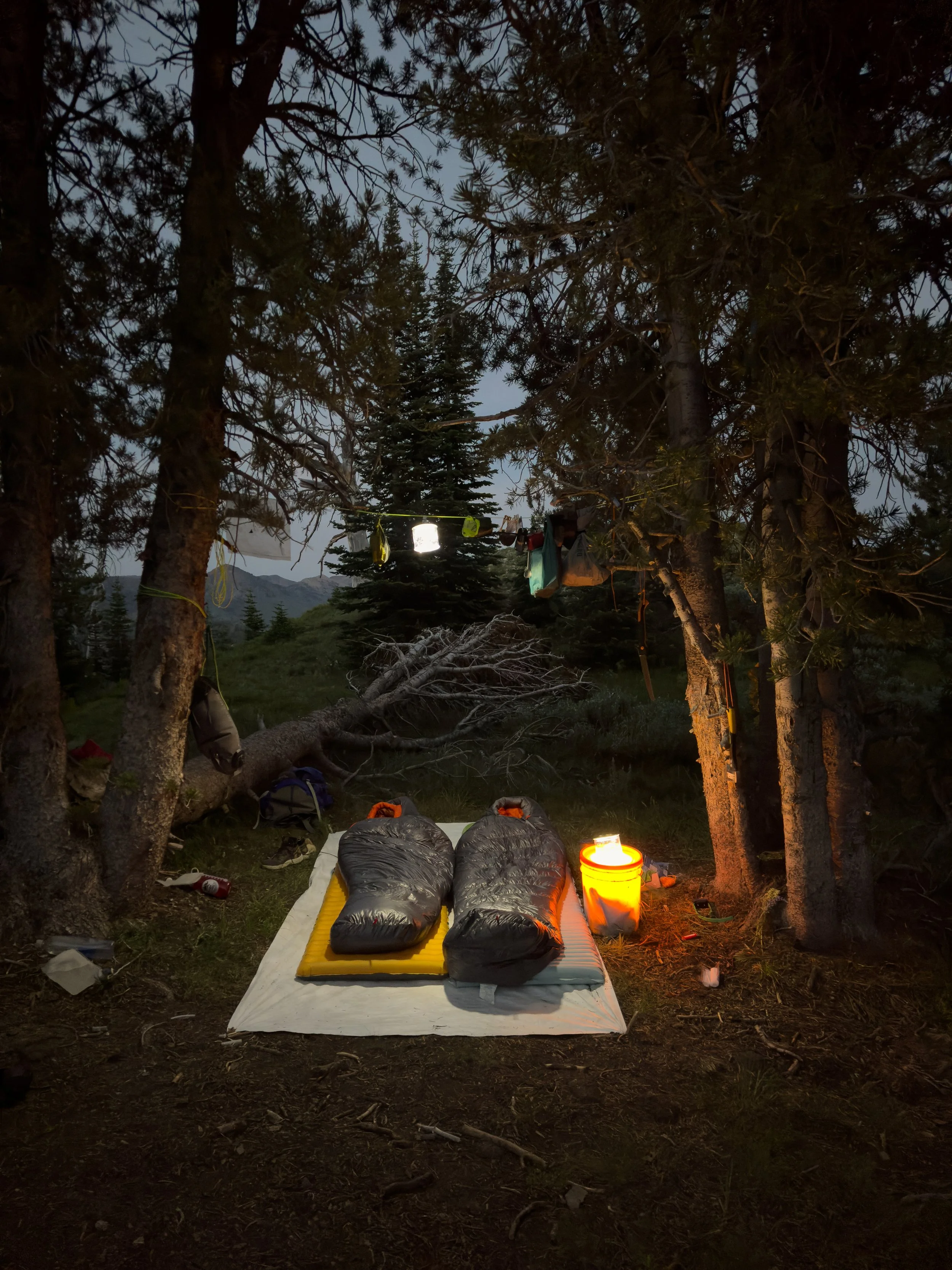 Camping setup with two sleeping bags on a mat, surrounded by trees, with a lantern and a candle providing light at dusk or night.