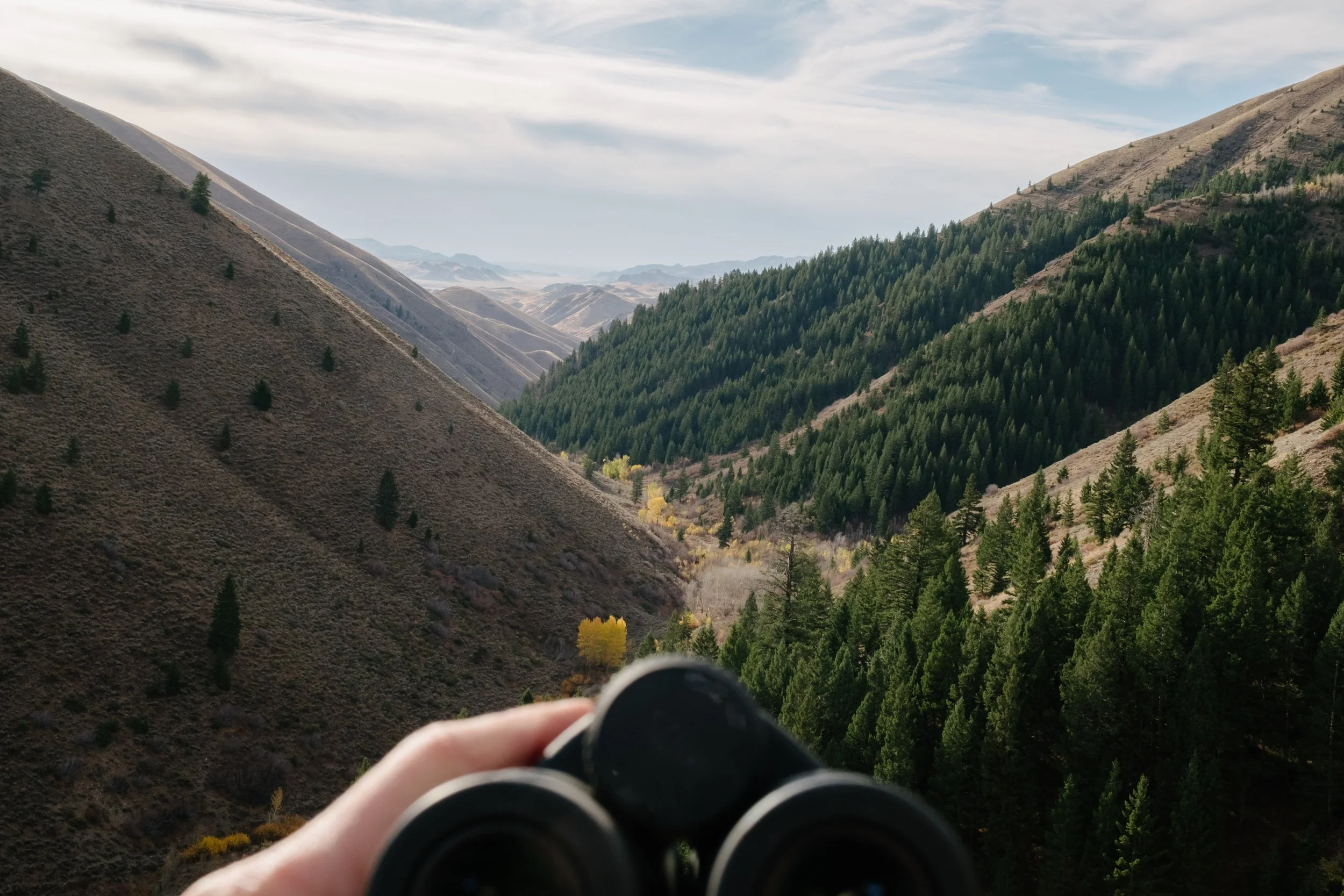 View through binoculars held by a person, overlooking a scenic valley with rolling hills and dense green forested slopes under a partly cloudy sky.