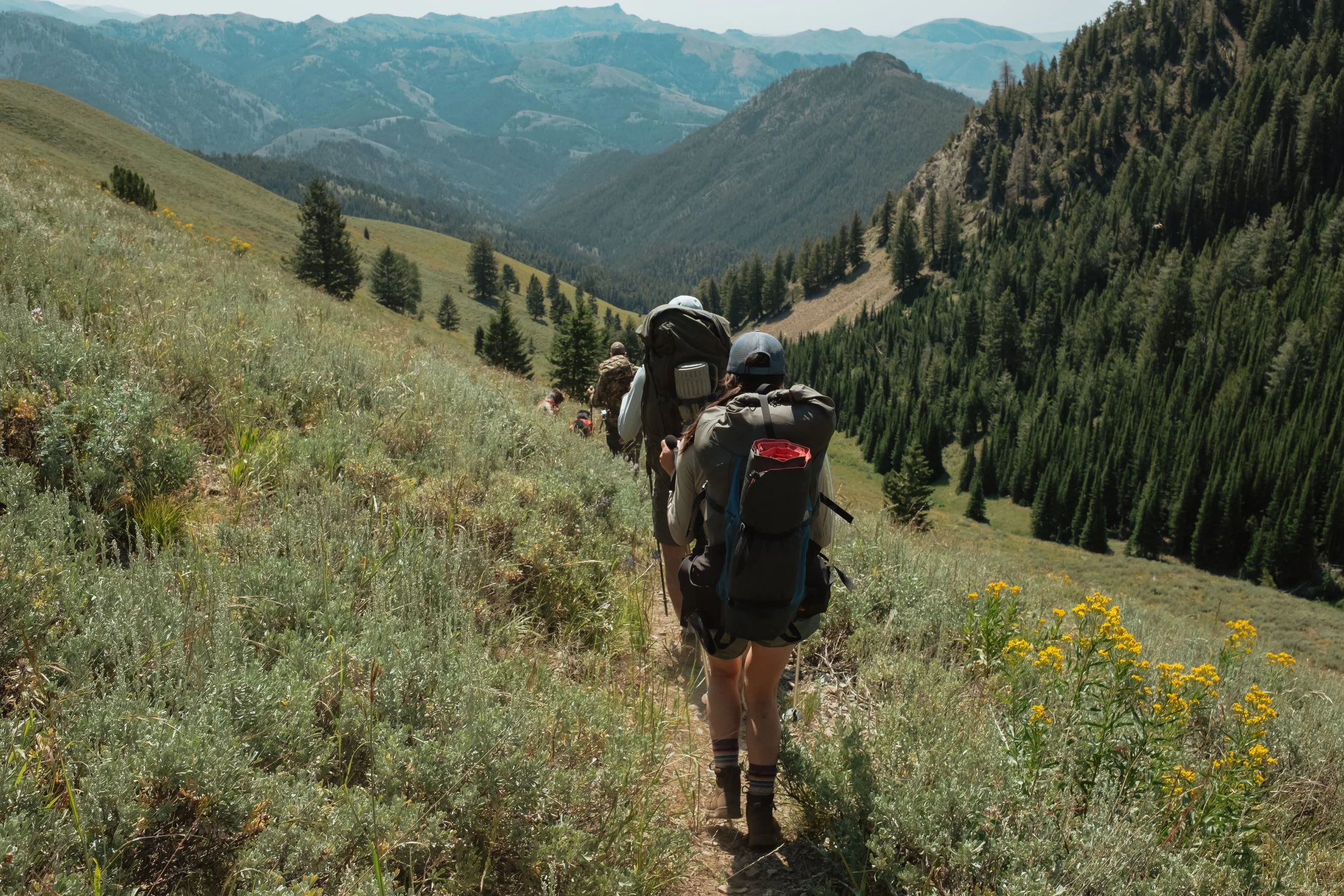 A group of hikers walking in single file along a trail through a lush green mountain landscape, with pine trees and rolling hills in the background.