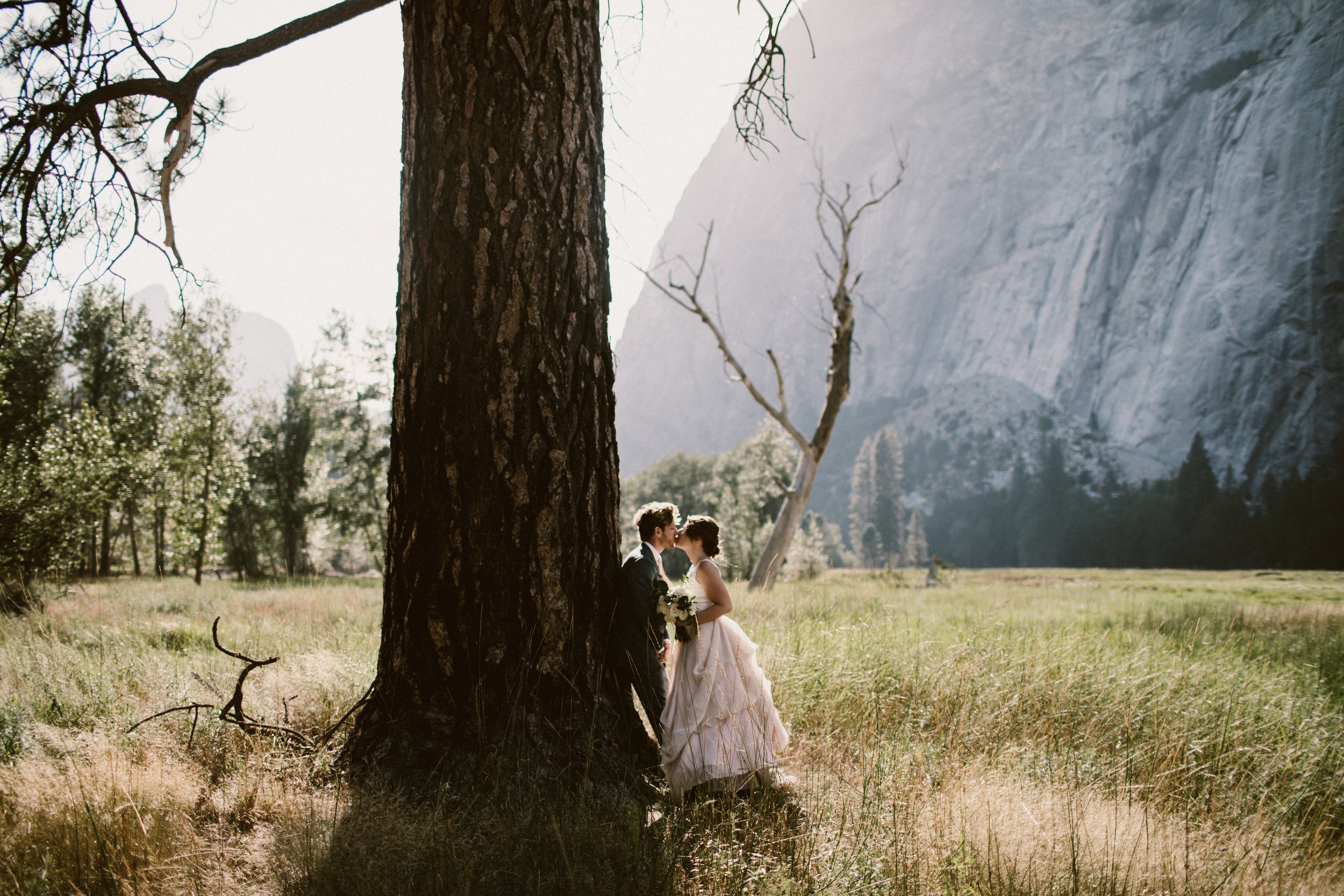 Bride and groom kiss next to a tree in the Mountains- Sun Valley, Idaho Fine Art Wedding Photographer