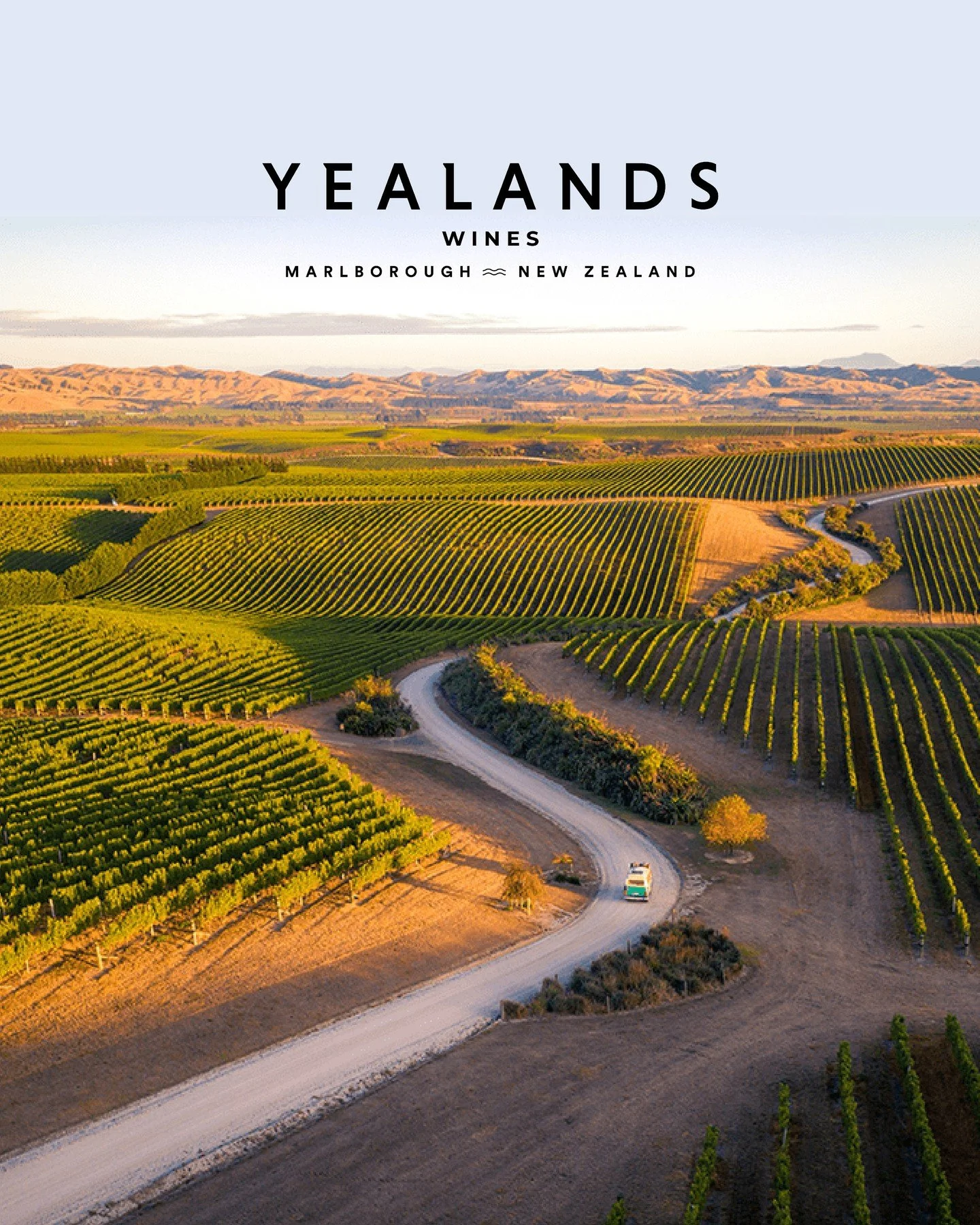 A Marlborough icon, and one we're incredibly excited to have as part of our lineup. ⁠
⁠
Say hello to @yealands.⁠
⁠
Known around the world for their innovative approach to winemaking and commitment to sustainability, Yealands has become one of Marlbor