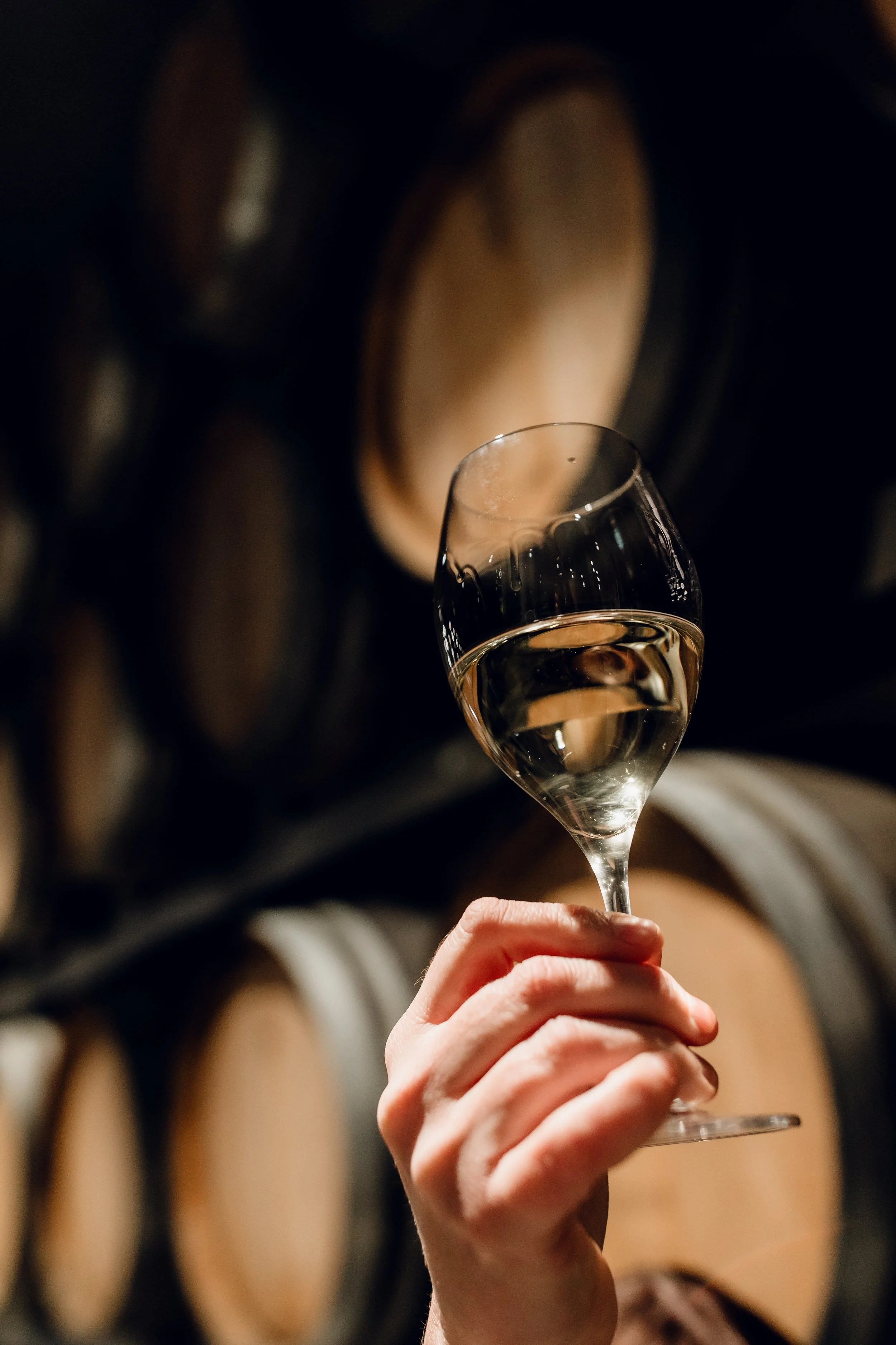 The Ultimate Guide to Wine Tasting in Marlborough