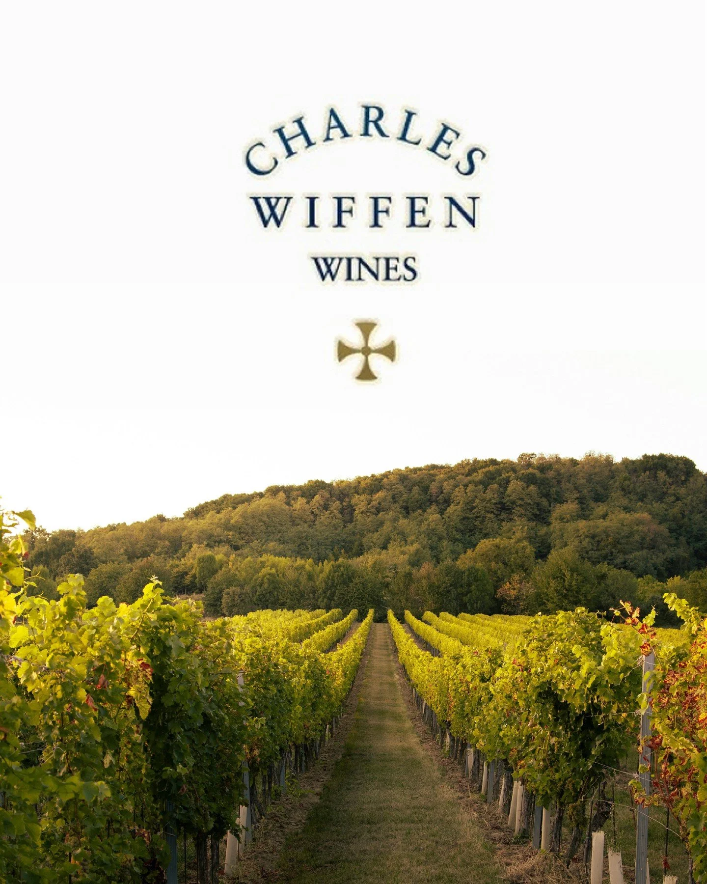 Family owned. Boutique. Unmistakably Marlborough.⁠
⁠
Charles Wiffen Wines has been crafting expressive Marlborough wines since the 1980s, with a philosophy centred on letting the vineyard do the talking. Their small batch approach and hands on winema