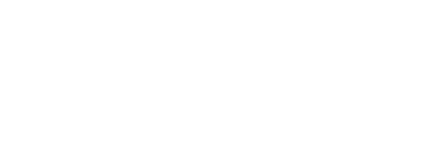 Wine + Food Experience Marlborough
