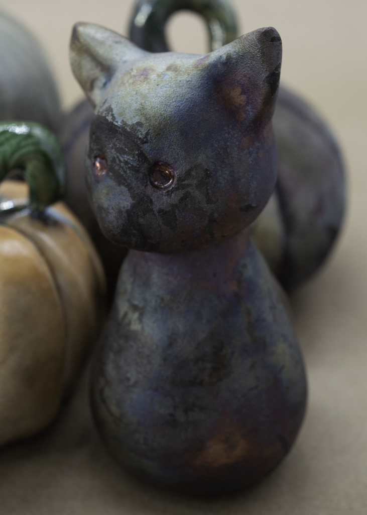 Gourd Cat.webp